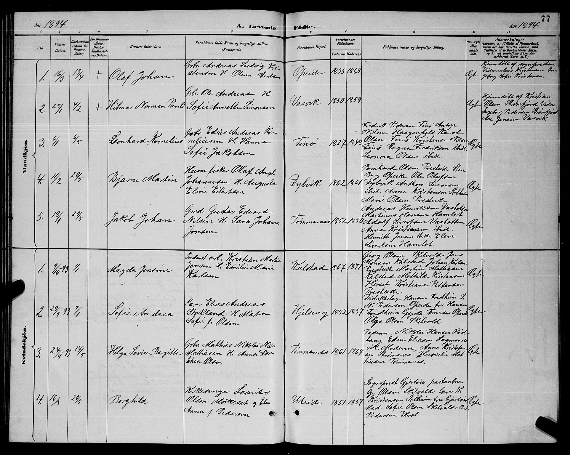 Ministerialprotokoller, klokkerbøker og fødselsregistre - Nordland, SAT/A-1459/859/L0859: Parish register (copy) no. 859C05, 1887-1898, p. 77