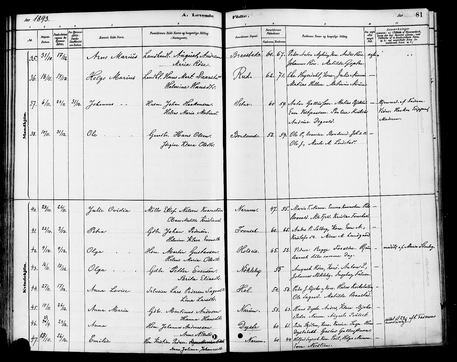 Vestre Toten prestekontor, SAH/PREST-108/H/Ha/Haa/L0010: Parish register (official) no. 10, 1878-1894, p. 81