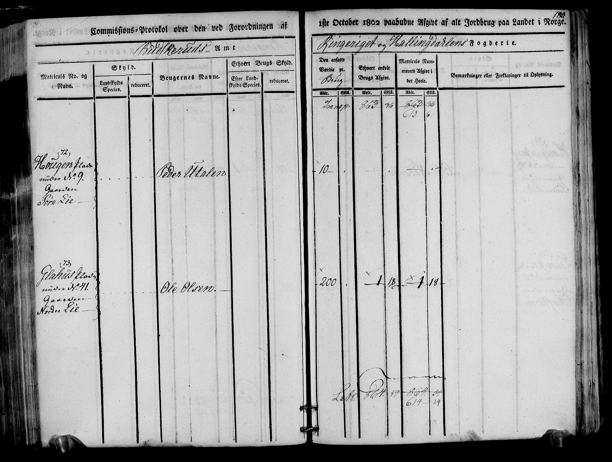 Rentekammeret inntil 1814, Realistisk ordnet avdeling, AV/RA-EA-4070/N/Ne/Nea/L0047: Ringerike og Hallingdal fogderi. Kommisjonsprotokoll for Nes prestegjeld, 1803, p. 186