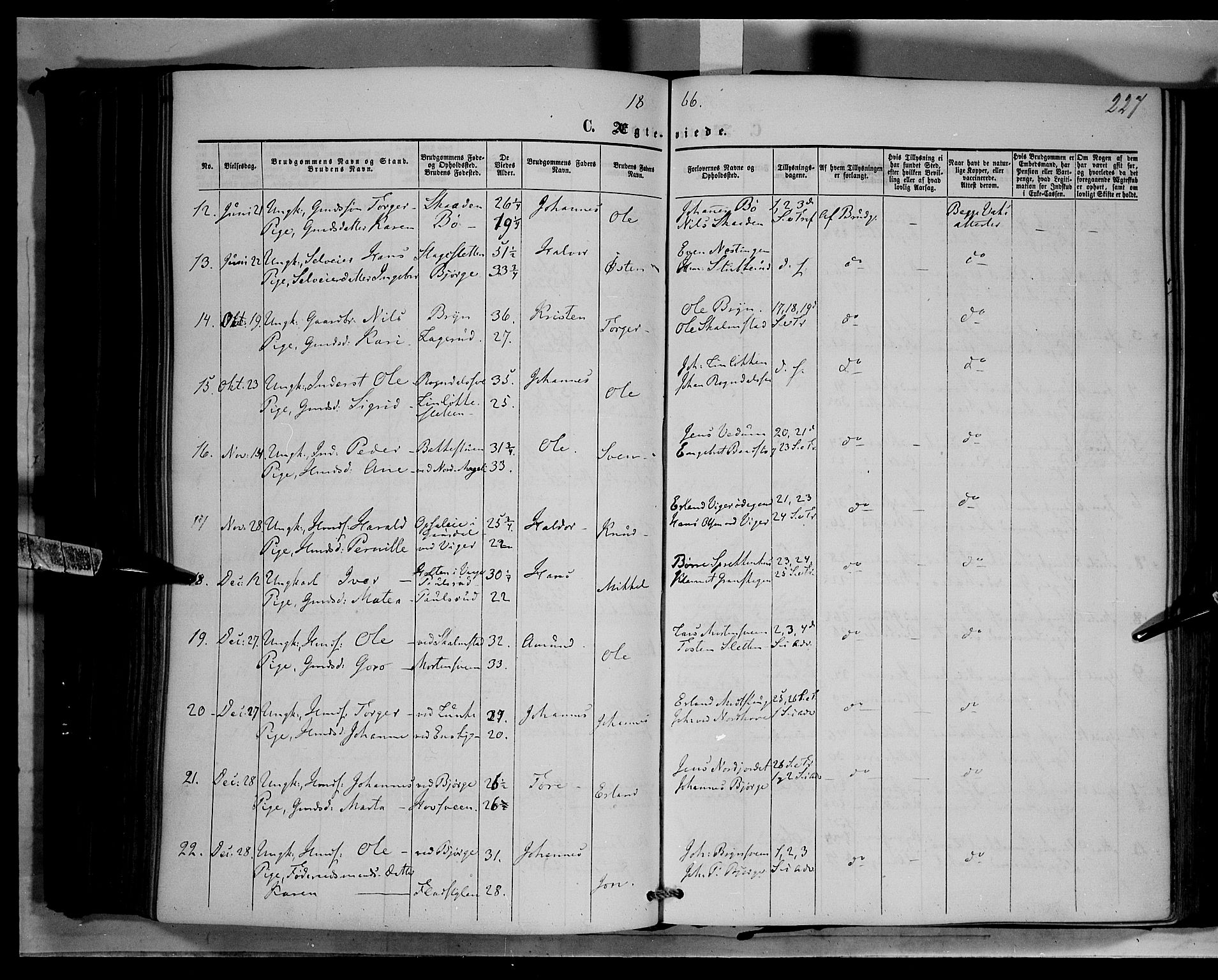 Øyer prestekontor, SAH/PREST-084/H/Ha/Haa/L0006: Parish register (official) no. 6, 1858-1874, p. 227