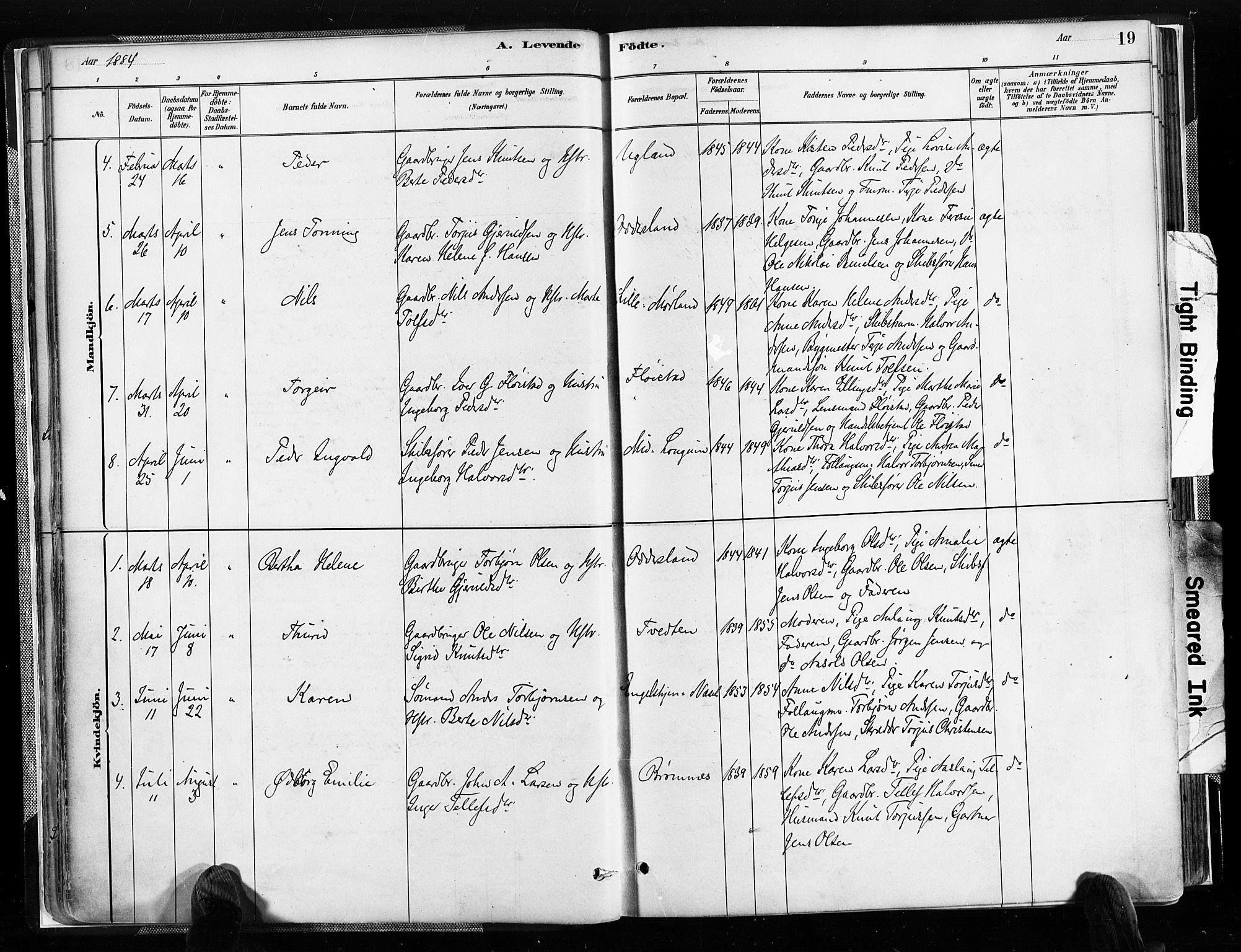 Austre Moland sokneprestkontor, SAK/1111-0001/F/Fa/Faa/L0010: Parish register (official) no. A 10, 1880-1904, p. 19