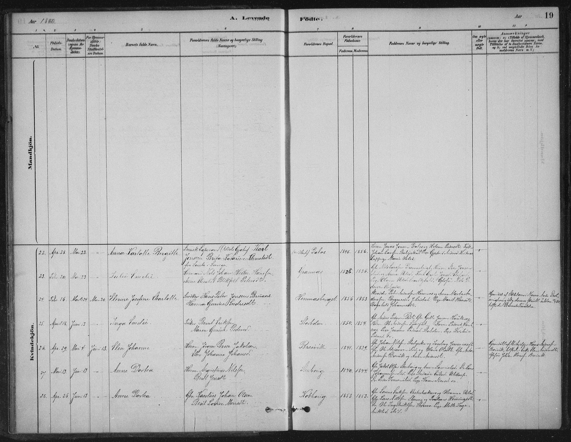 Ministerialprotokoller, klokkerbøker og fødselsregistre - Nordland, SAT/A-1459/825/L0361: Parish register (official) no. 825A15, 1878-1893, p. 19