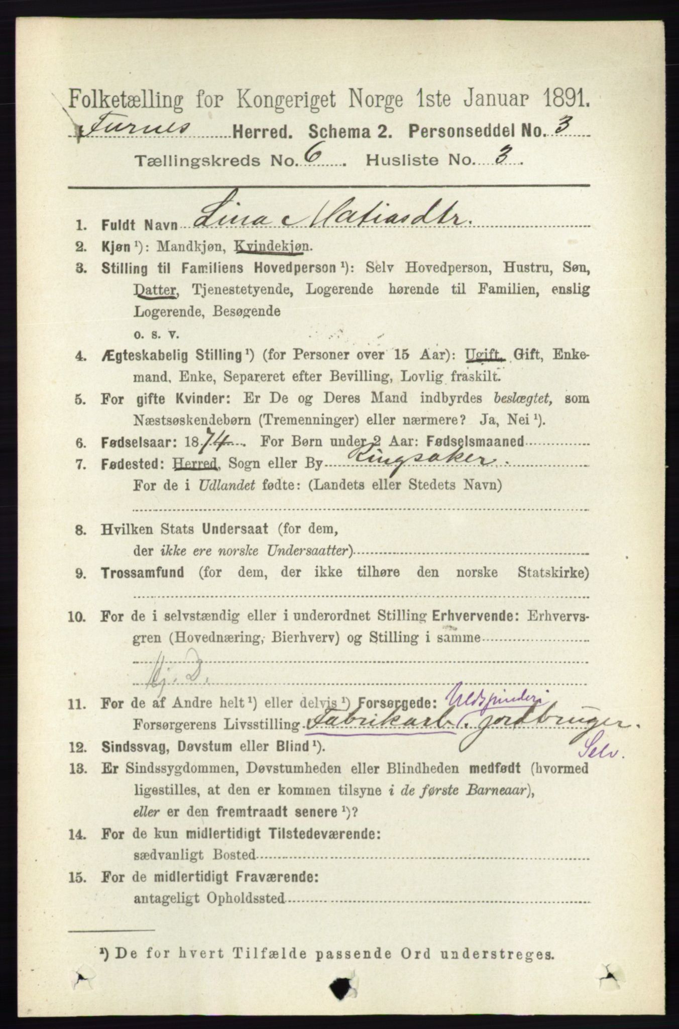 RA, Census 1891 for 0413 Furnes herred, 1891, p. 4175