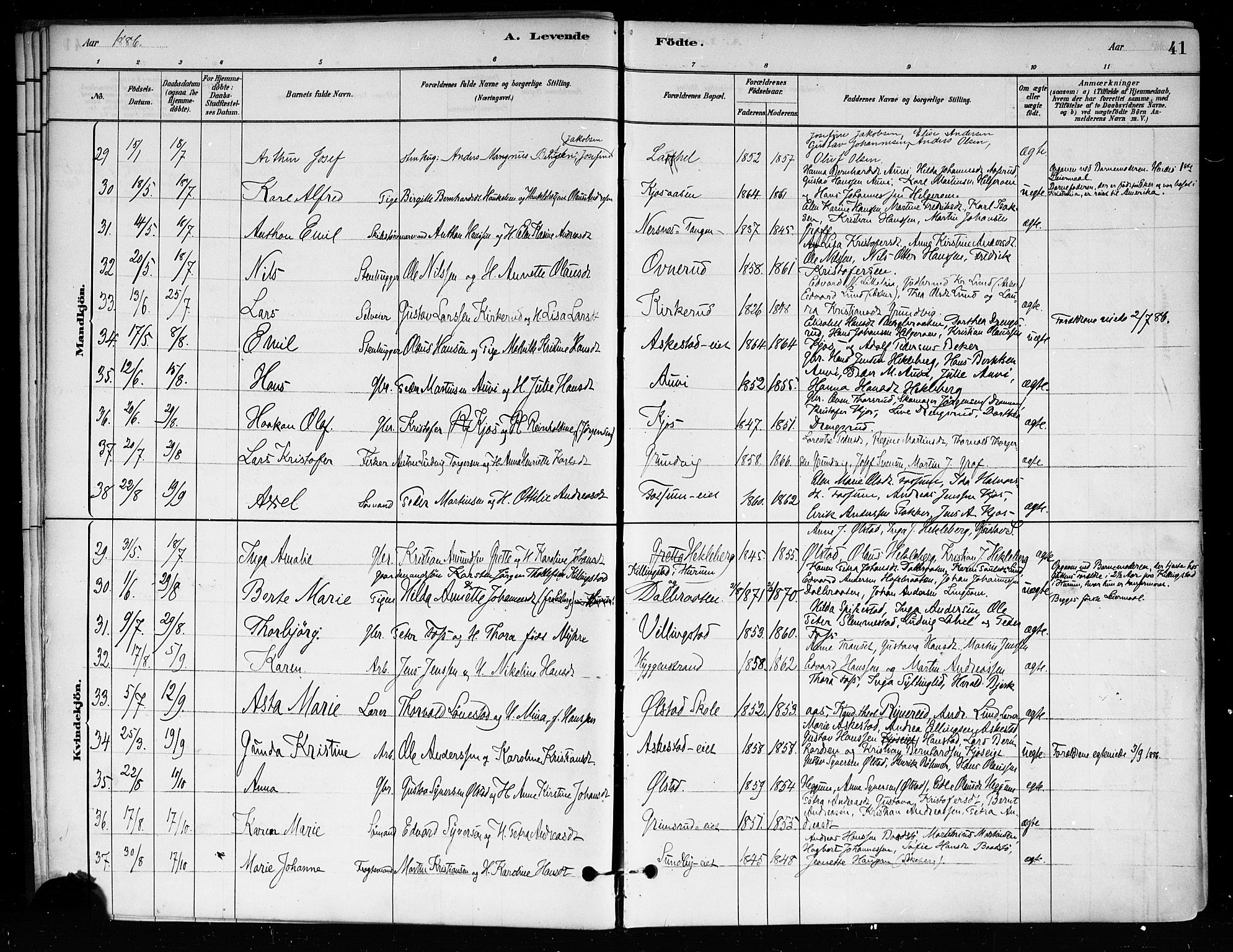 Røyken kirkebøker, SAKO/A-241/F/Fa/L0008: Parish register (official) no. 8, 1880-1897, p. 41
