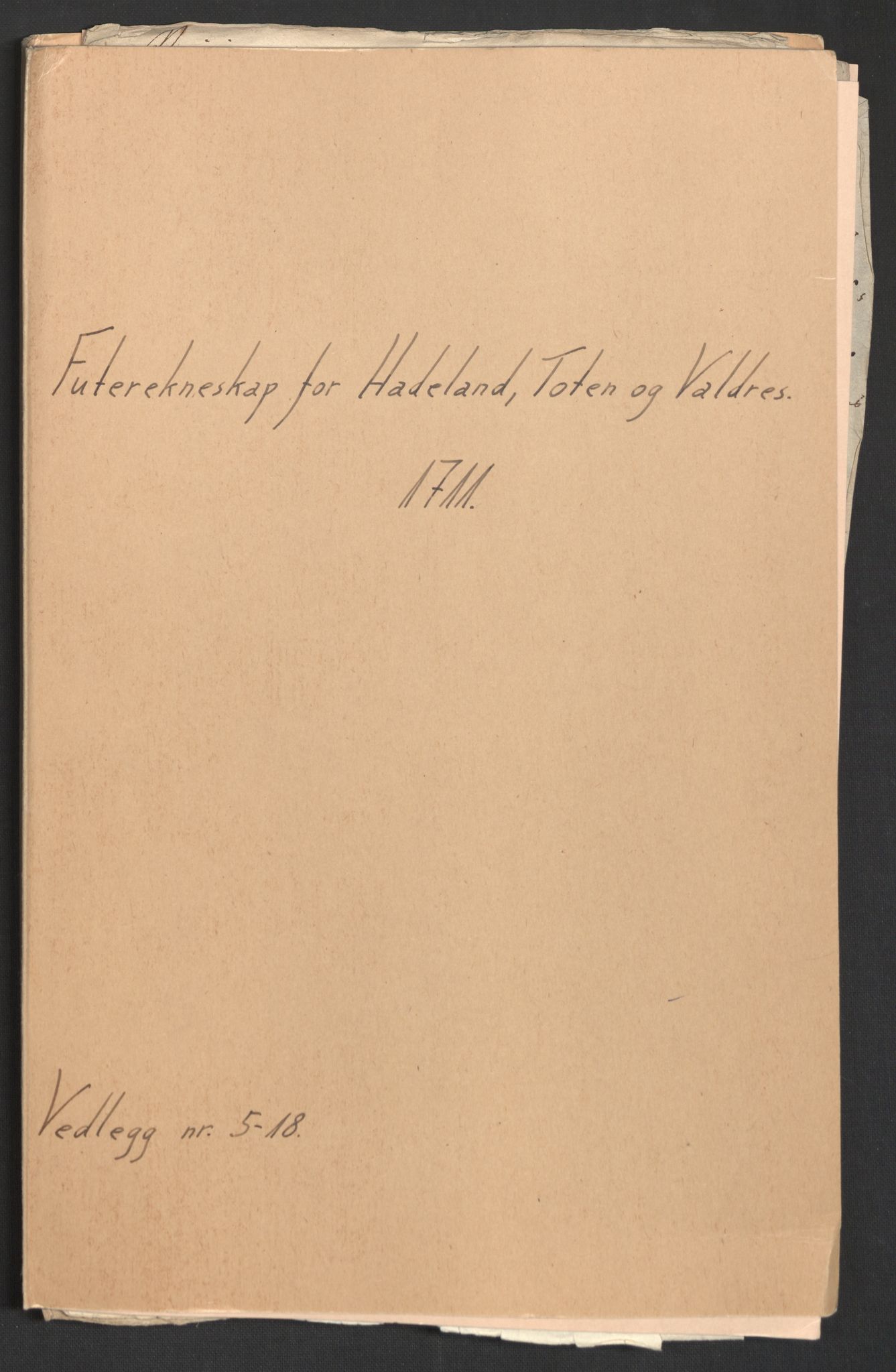 Rentekammeret inntil 1814, Reviderte regnskaper, Fogderegnskap, AV/RA-EA-4092/R18/L1308: Fogderegnskap Hadeland, Toten og Valdres, 1711, p. 380