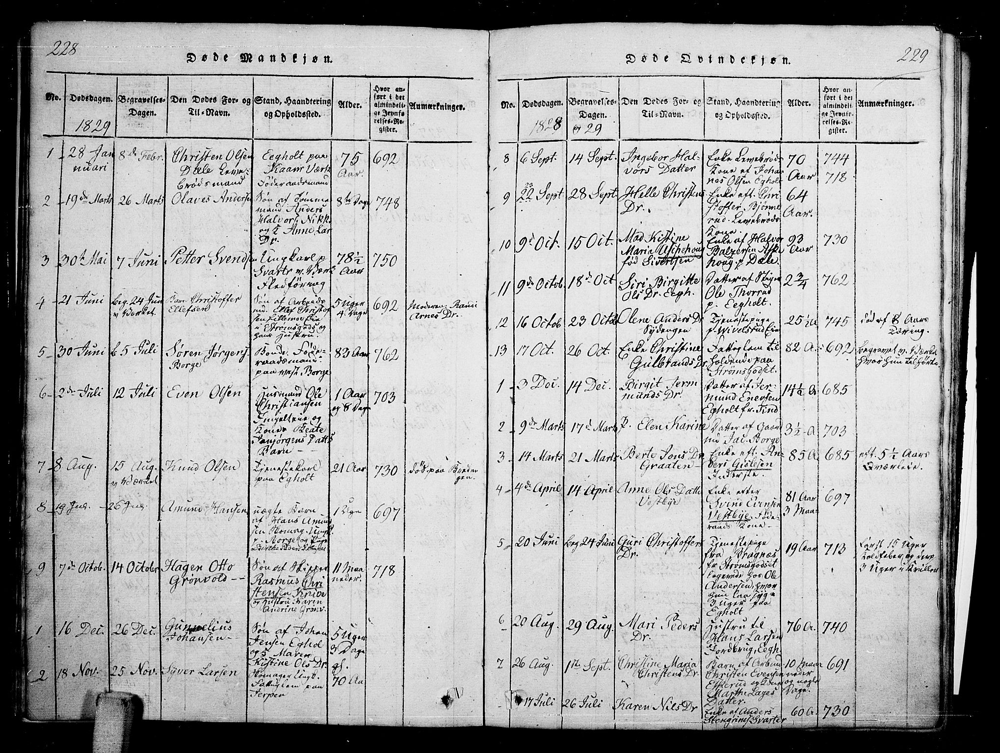 Skoger kirkebøker, SAKO/A-59/G/Ga/L0001: Parish register (copy) no. I 1, 1814-1845, p. 228-229