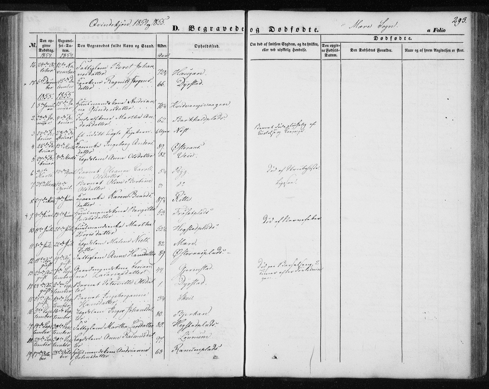 Ministerialprotokoller, klokkerbøker og fødselsregistre - Nord-Trøndelag, SAT/A-1458/735/L0342: Parish register (official) no. 735A07 /1, 1849-1862, p. 293