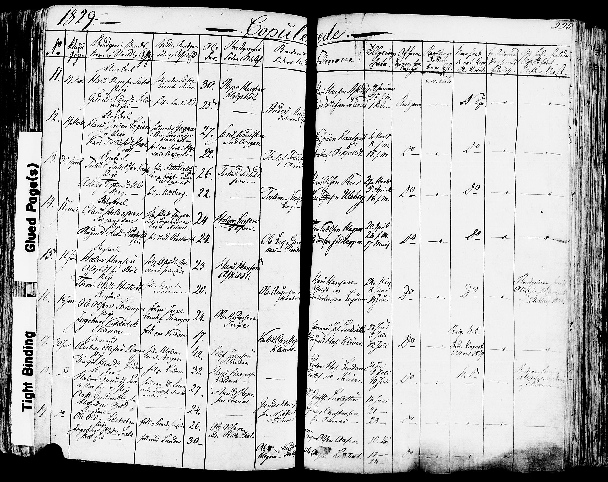 Sauherad kirkebøker, AV/SAKO-A-298/F/Fa/L0006: Parish register (official) no. I 6, 1827-1850, p. 225