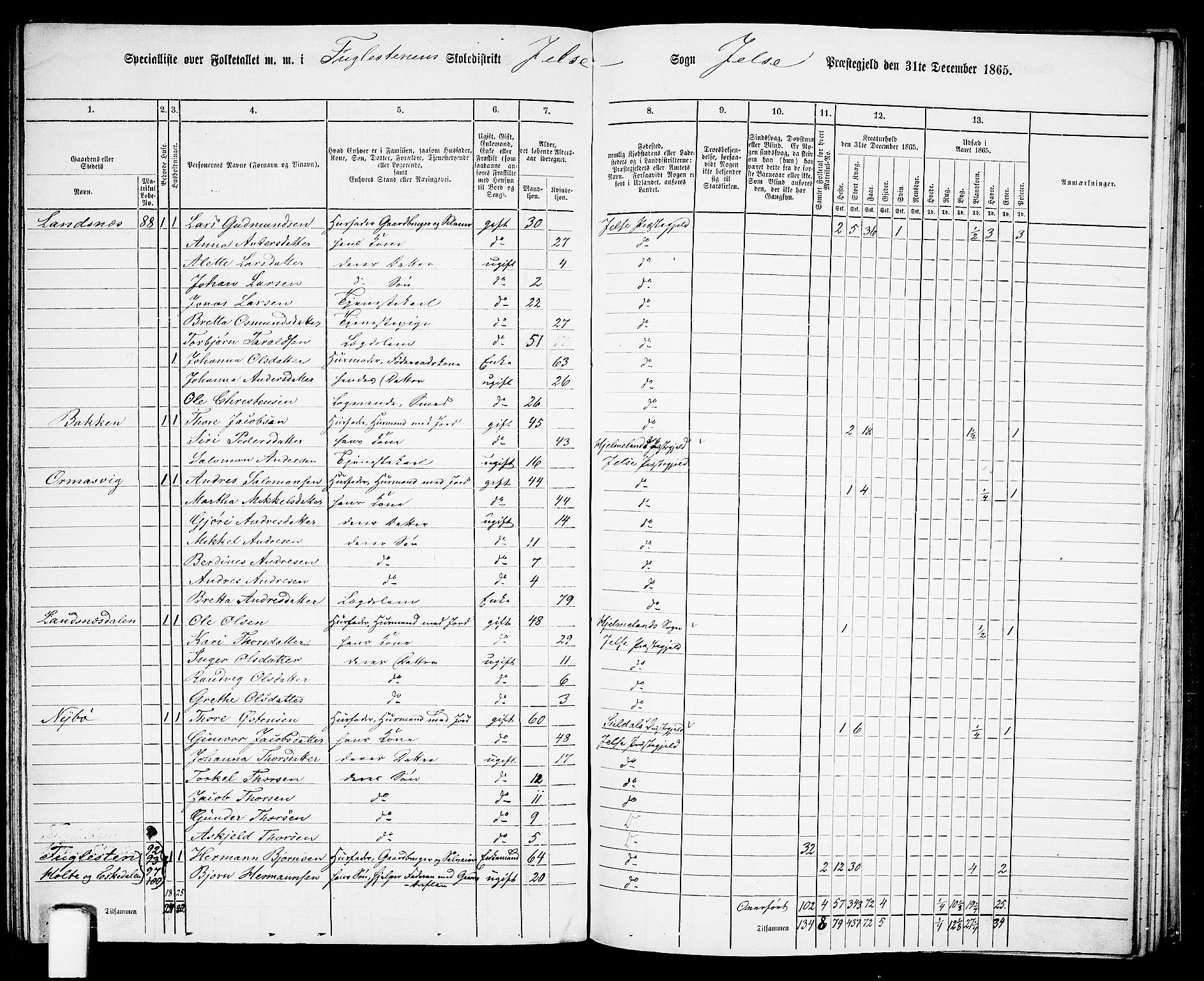 RA, 1865 census for Jelsa, 1865, p. 87