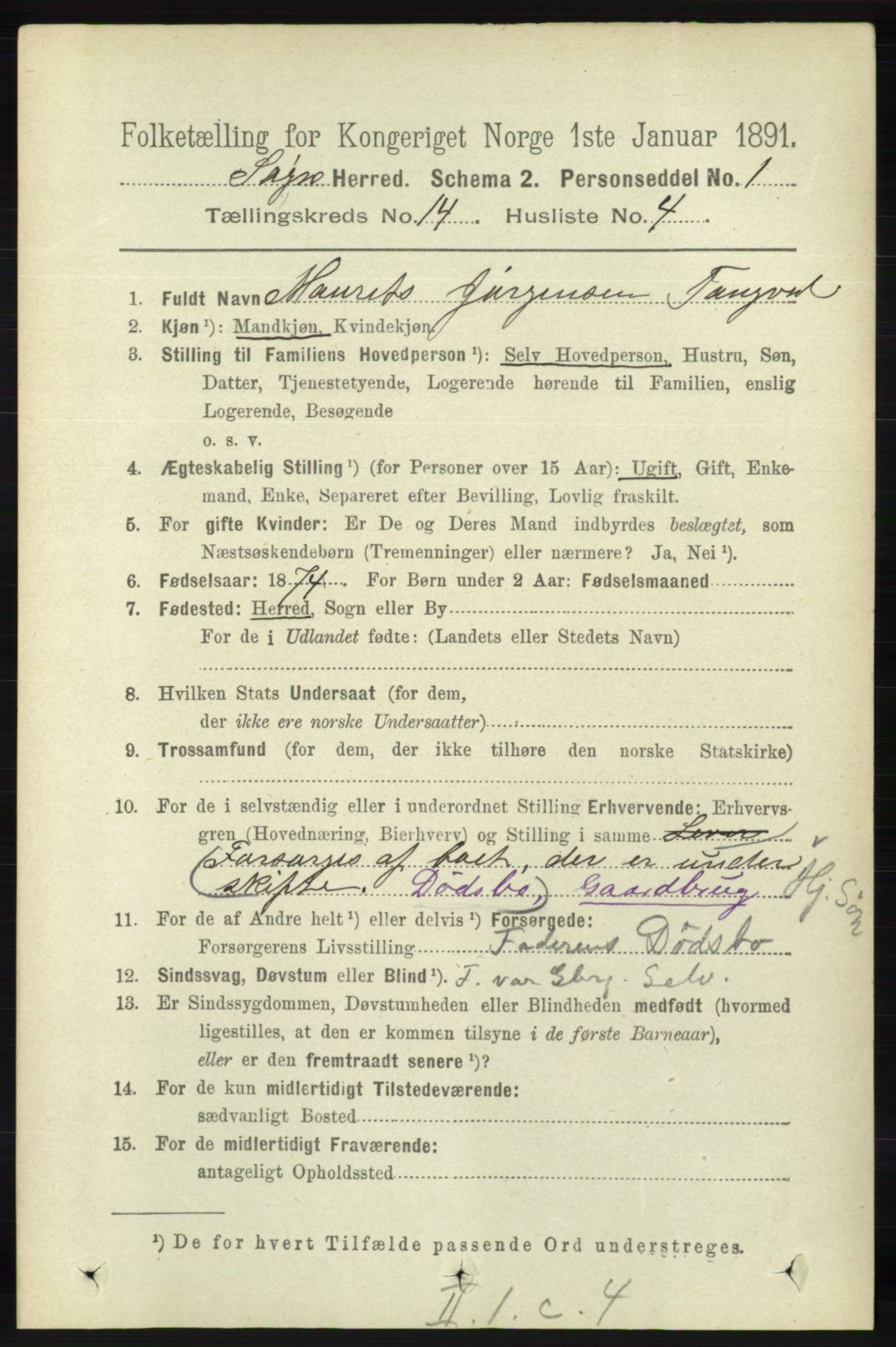 RA, 1891 census for 1018 Søgne, 1891, p. 3421