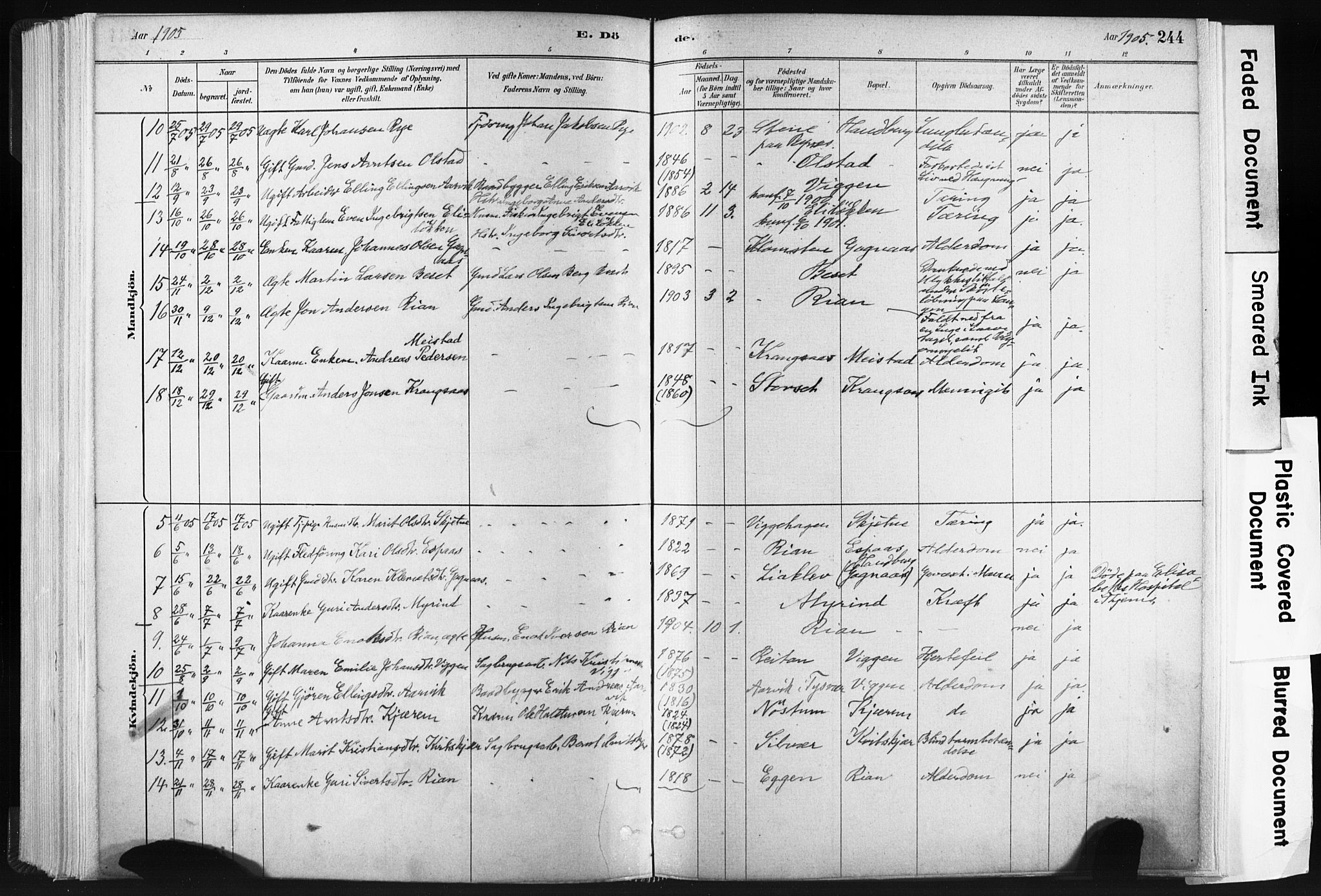 Ministerialprotokoller, klokkerbøker og fødselsregistre - Sør-Trøndelag, AV/SAT-A-1456/665/L0773: Parish register (official) no. 665A08, 1879-1905, p. 244