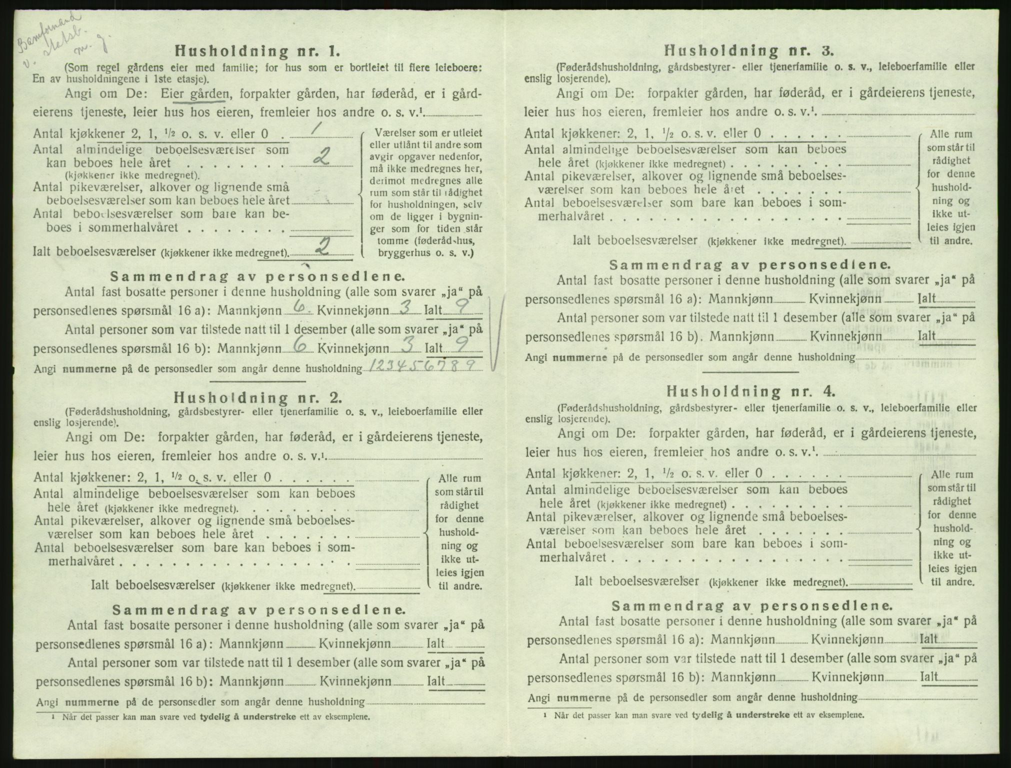 SAK, 1920 census for Hornnes, 1920, p. 376