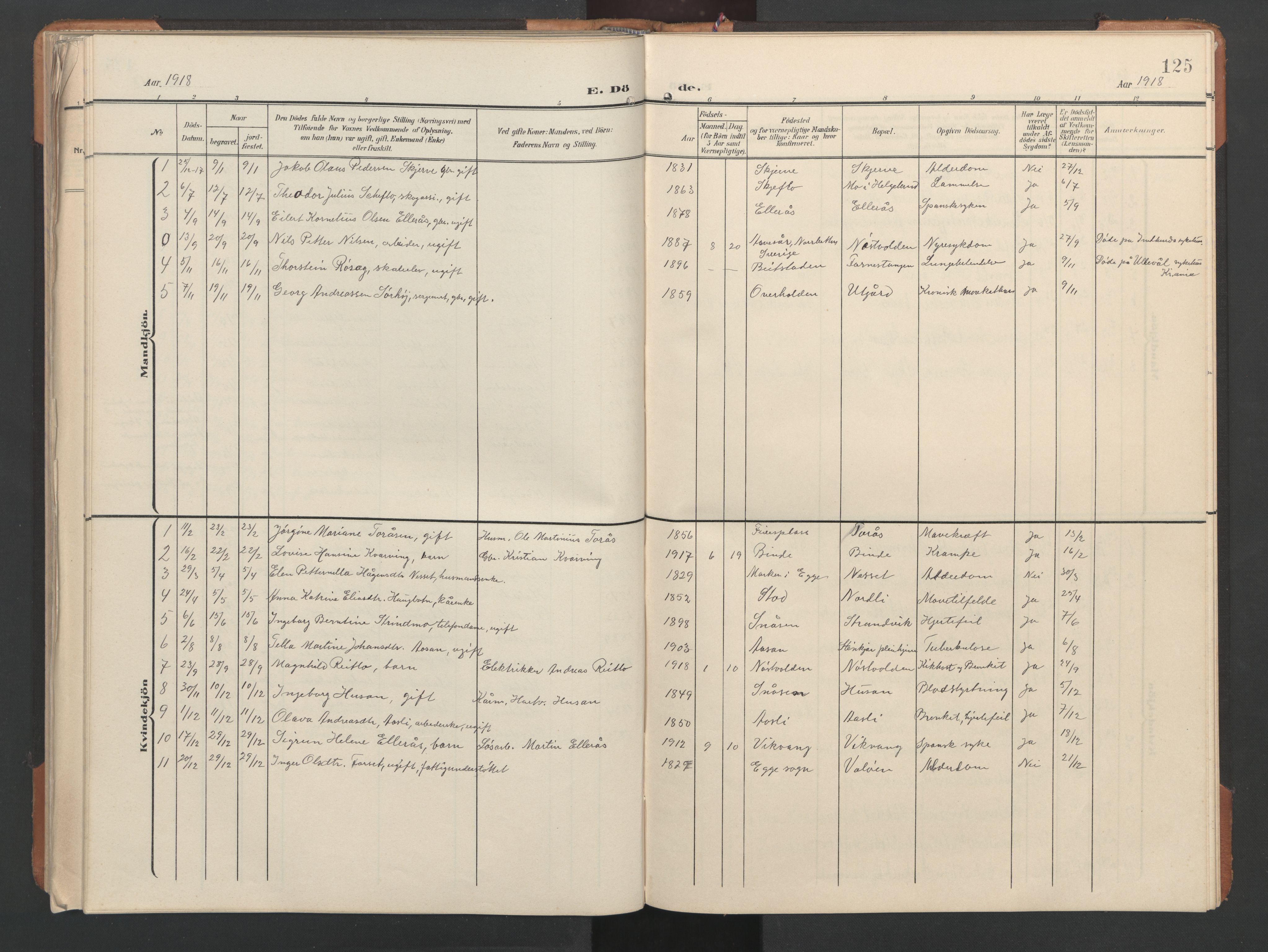 Ministerialprotokoller, klokkerbøker og fødselsregistre - Nord-Trøndelag, SAT/A-1458/746/L0455: Parish register (copy) no. 746C01, 1908-1933, p. 125