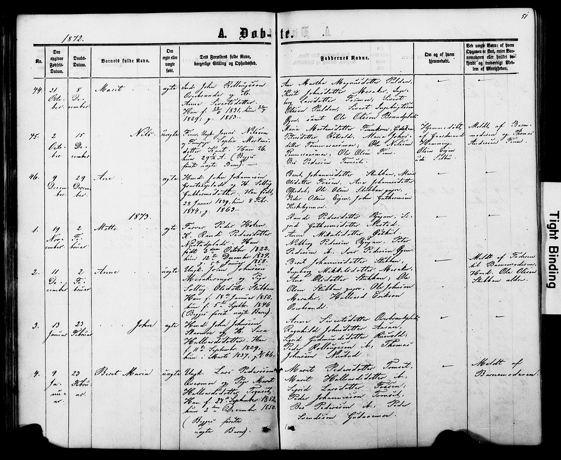 Ministerialprotokoller, klokkerbøker og fødselsregistre - Nord-Trøndelag, AV/SAT-A-1458/706/L0049: Parish register (copy) no. 706C01, 1864-1895, p. 51