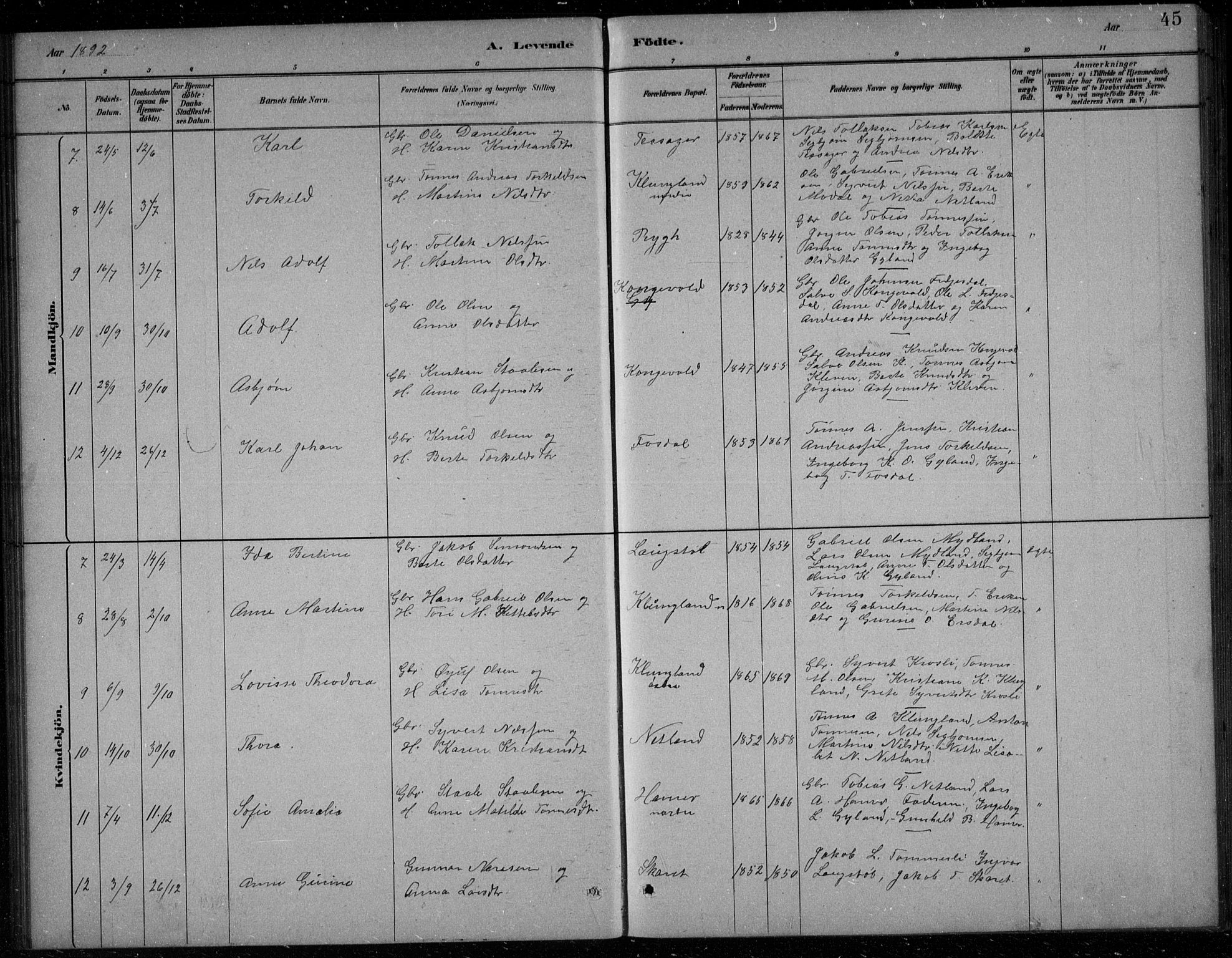 Bakke sokneprestkontor, AV/SAK-1111-0002/F/Fb/Fbb/L0003: Parish register (copy) no. B 3, 1878-1896, p. 45