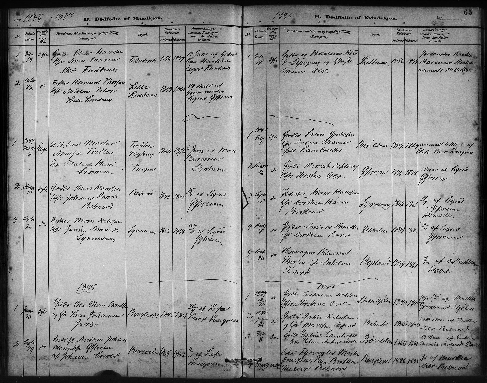 Lindås Sokneprestembete, SAB/A-76701/H/Haa: Parish register (official) no. C 1, 1886-1896, p. 65