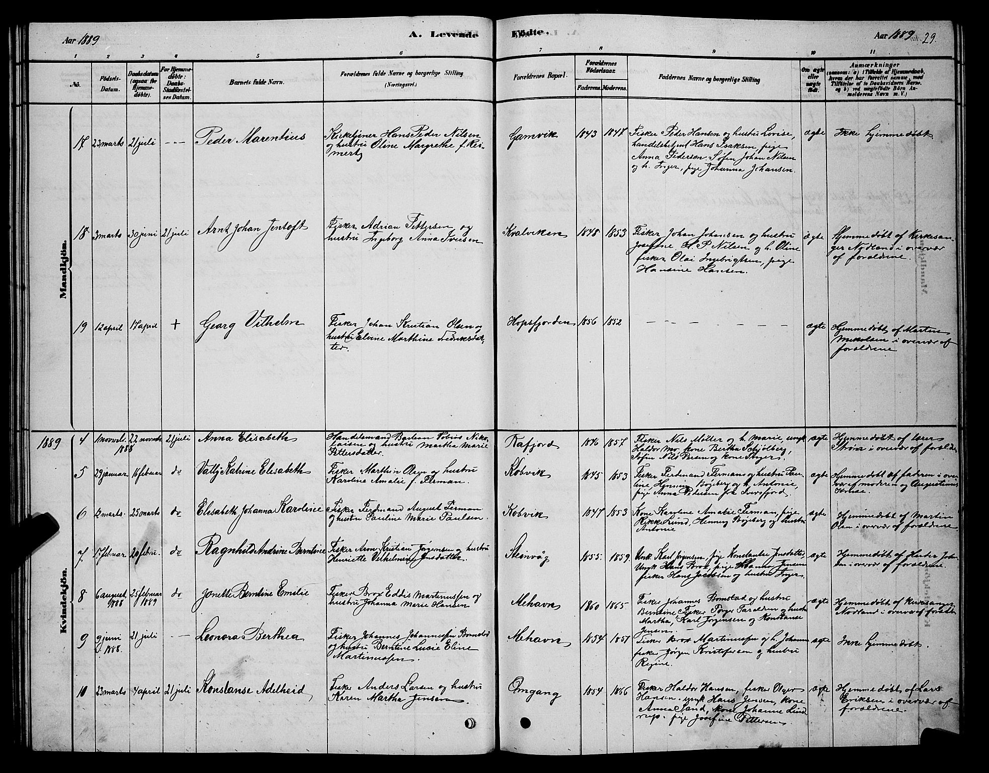 Tana sokneprestkontor, SATØ/S-1334/H/Hb/L0005klokker: Parish register (copy) no. 5, 1878-1891, p. 29