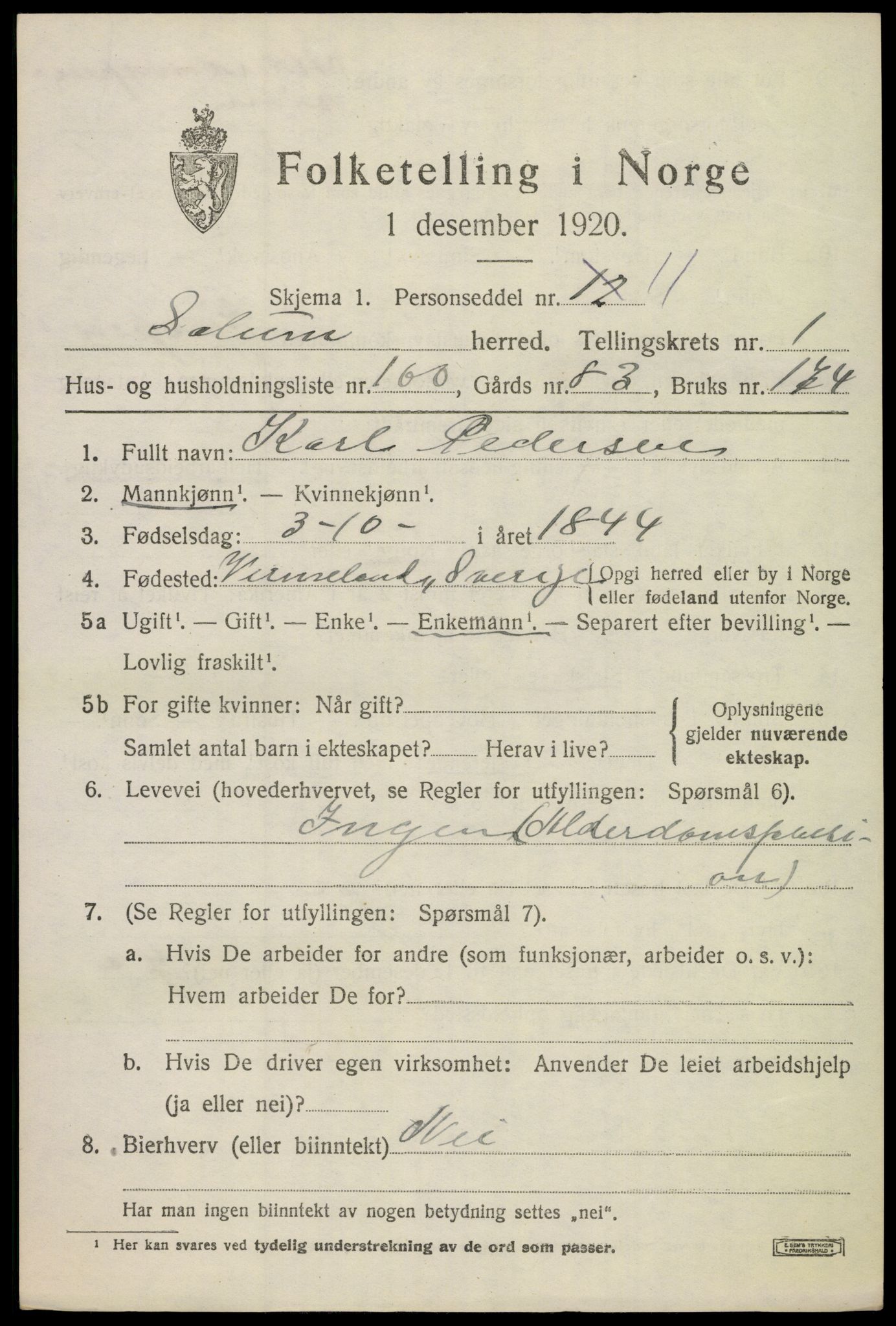 SAKO, 1920 census for Solum, 1920, p. 4040