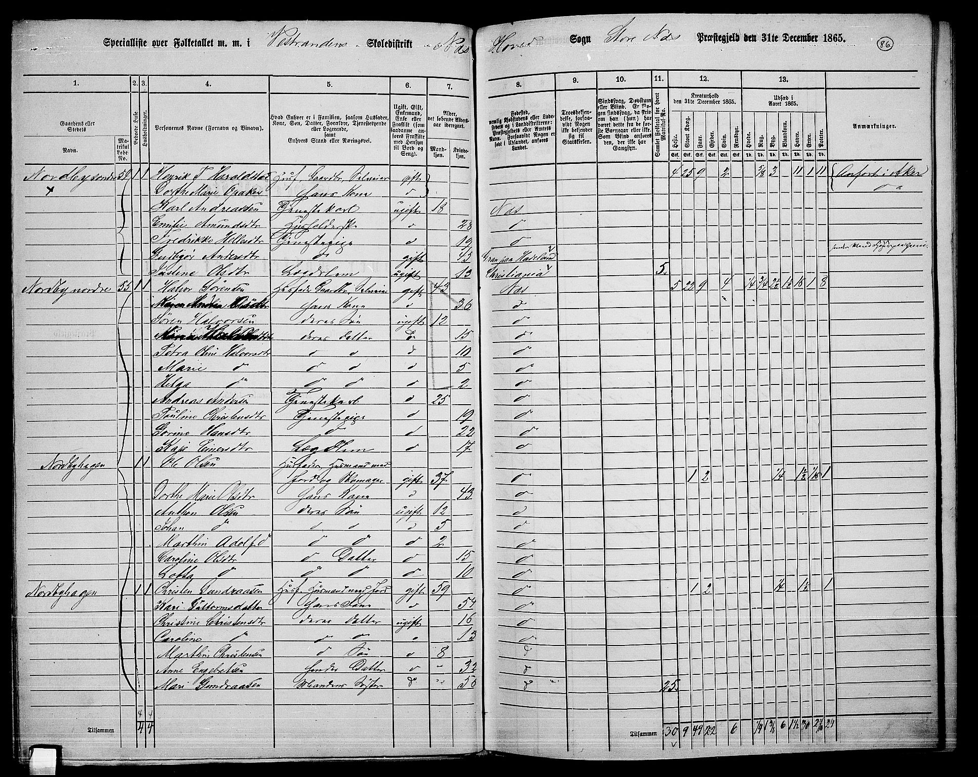 RA, 1865 census for Nes, 1865, p. 78