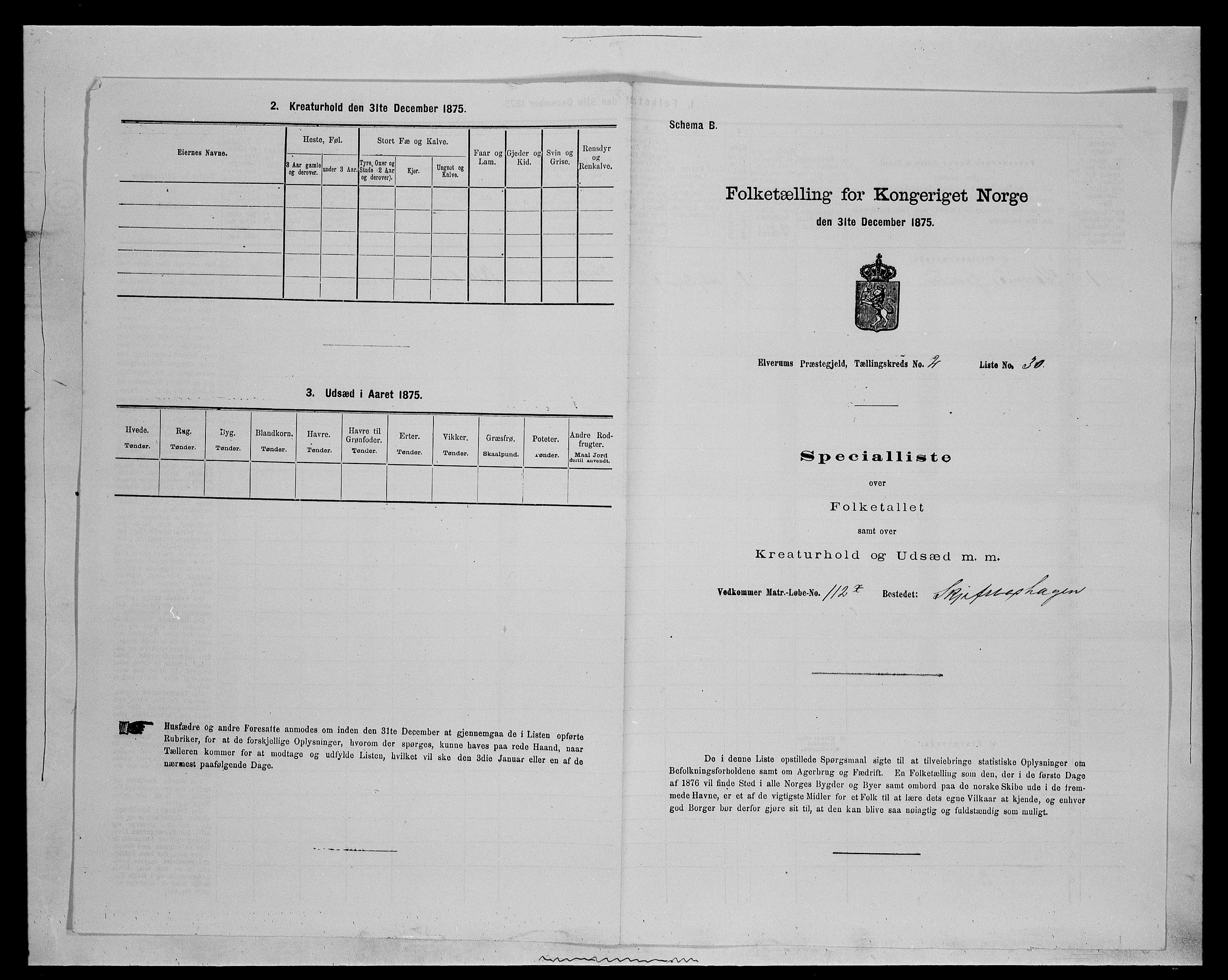 SAH, 1875 census for 0427P Elverum, 1875, p. 555