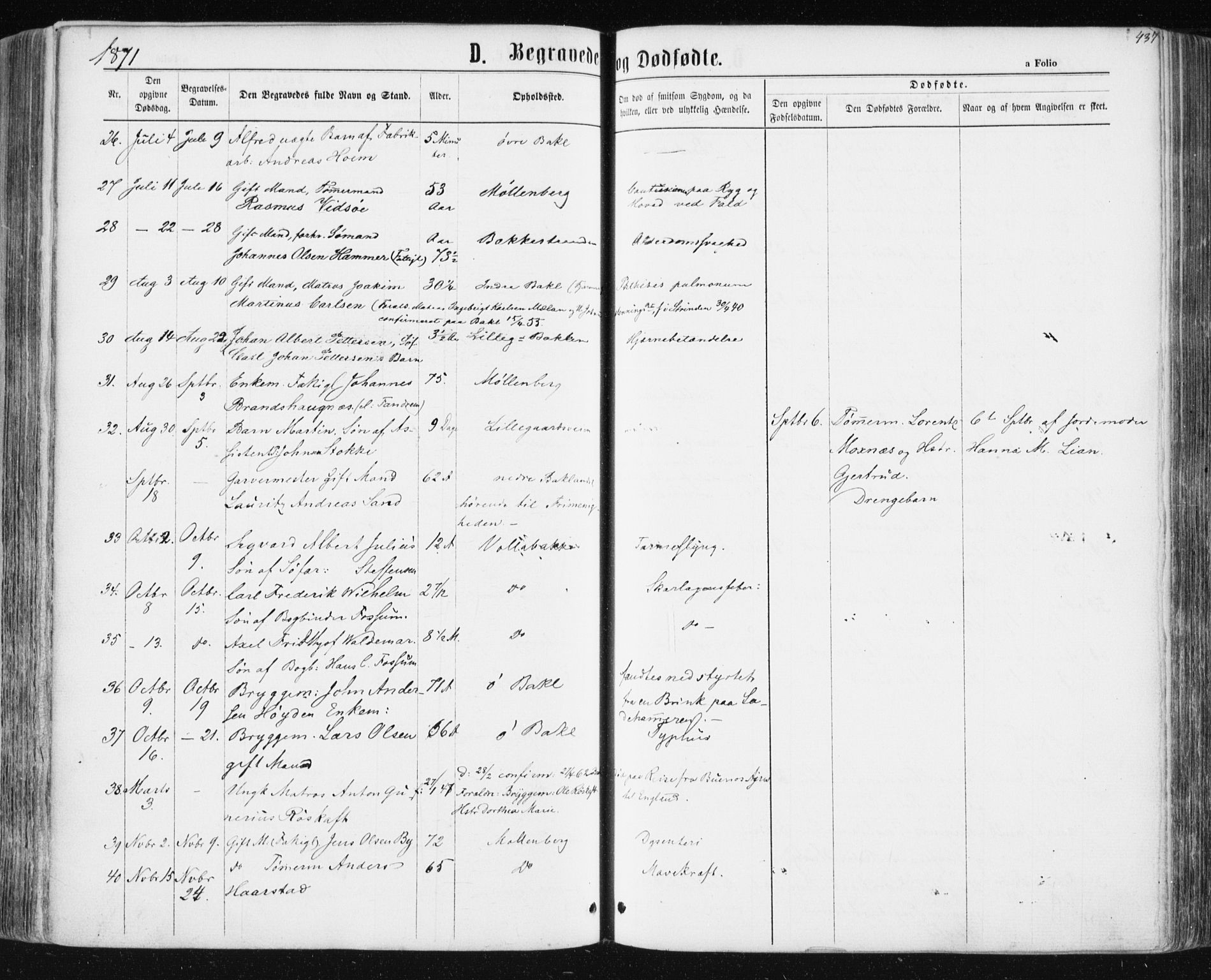 Ministerialprotokoller, klokkerbøker og fødselsregistre - Sør-Trøndelag, SAT/A-1456/604/L0186: Parish register (official) no. 604A07, 1866-1877, p. 437