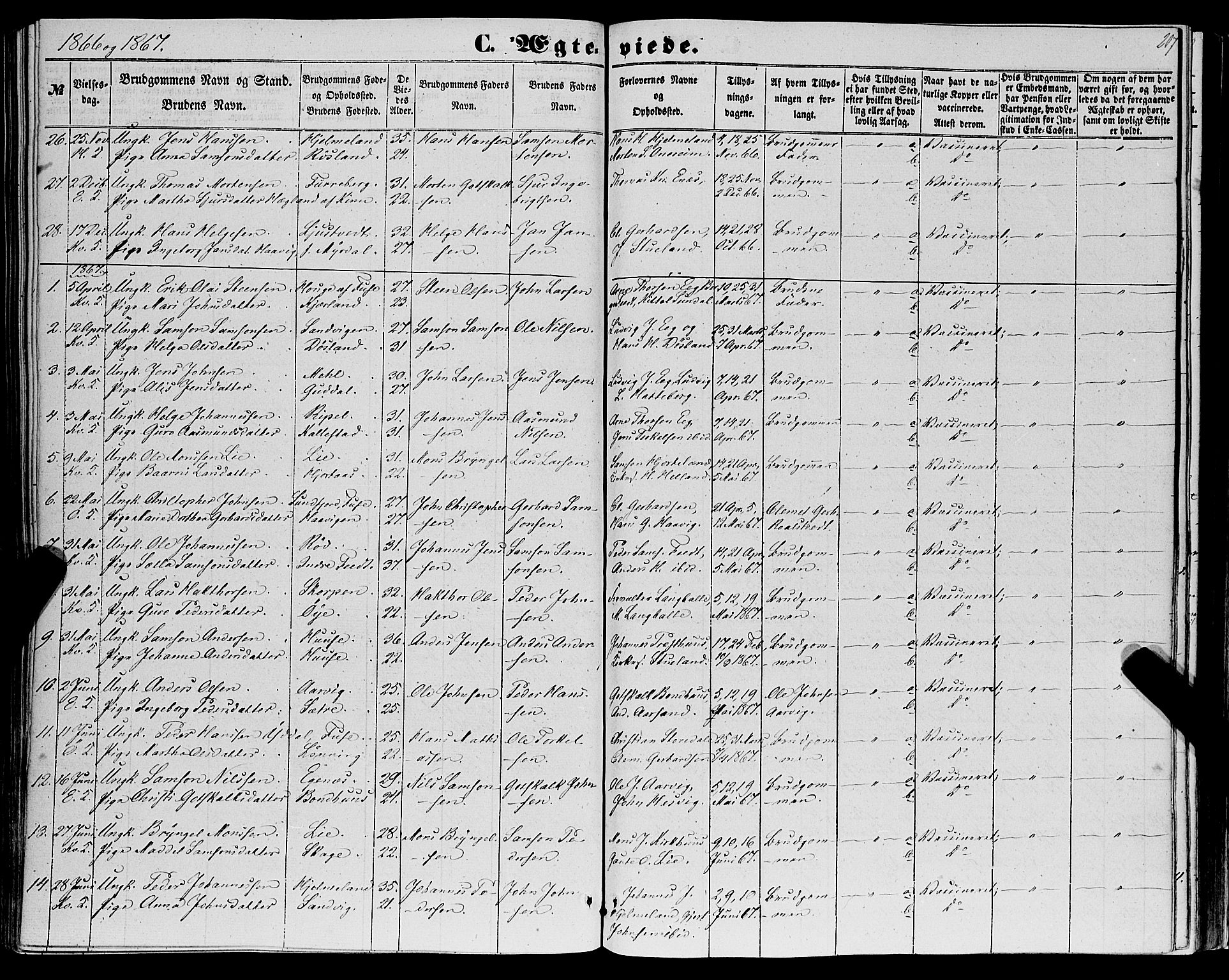 Kvinnherad sokneprestembete, SAB/A-76401/H/Haa: Parish register (official) no. A 8, 1854-1872, p. 207