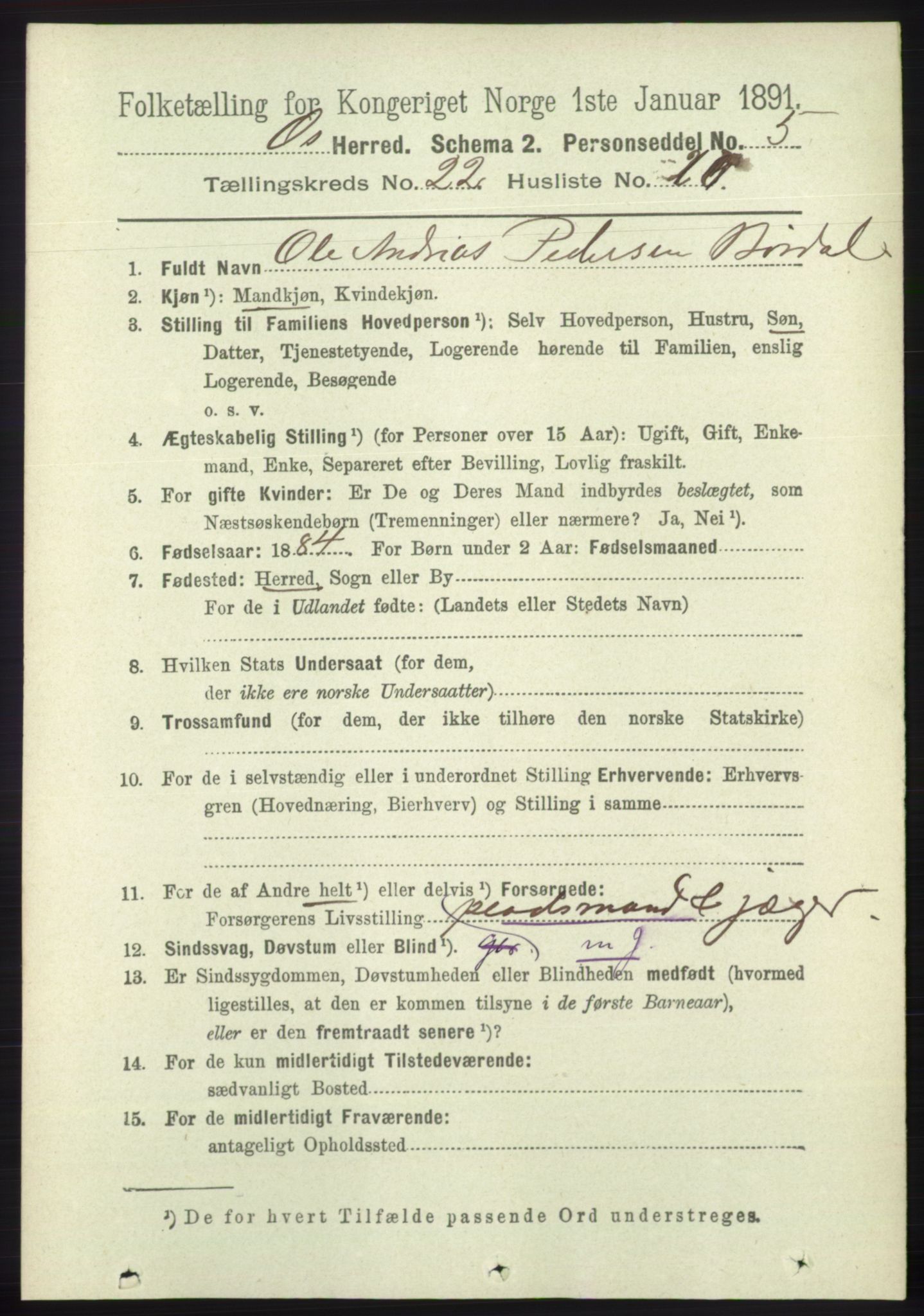 RA, 1891 census for 1243 Os, 1891, p. 5009