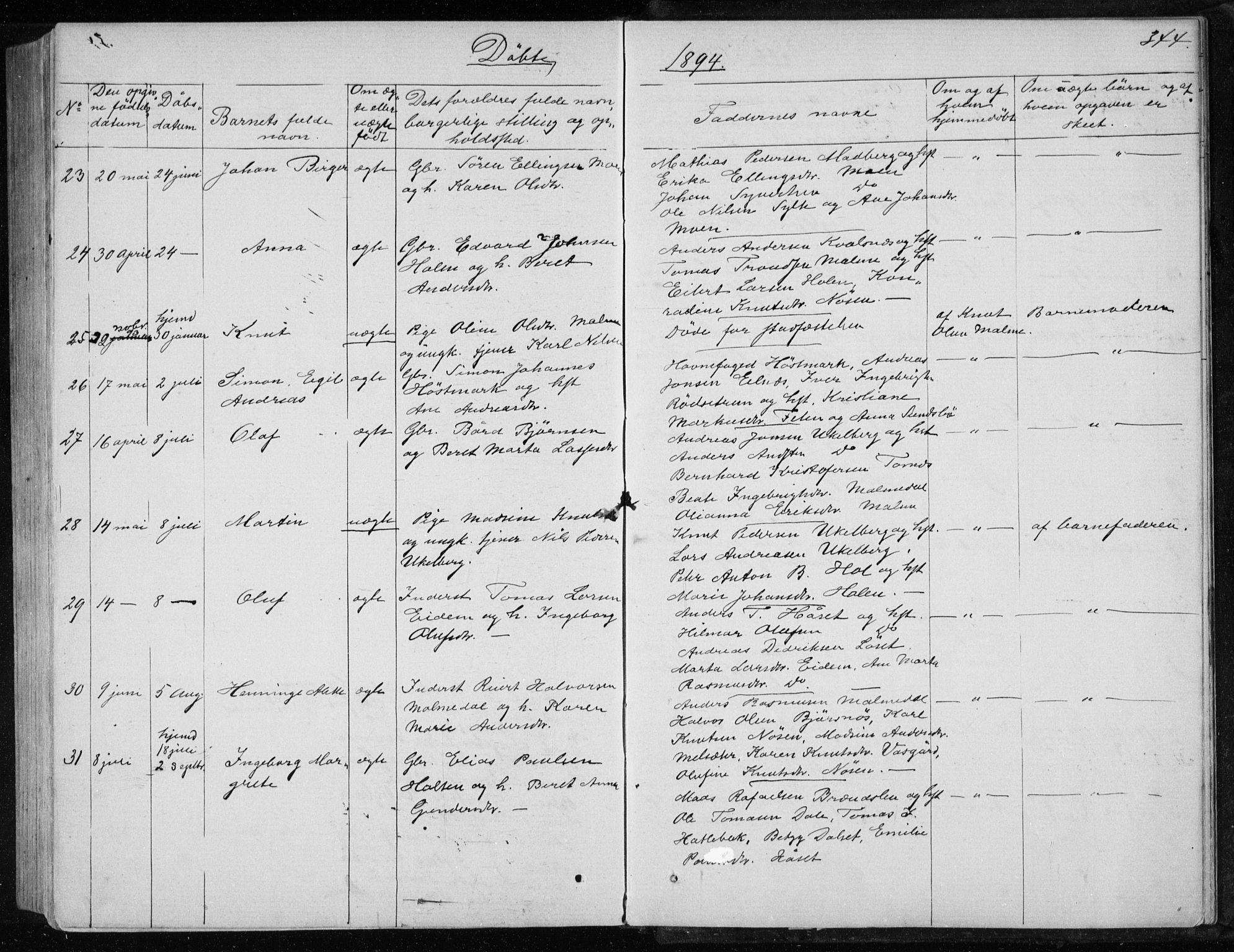 Ministerialprotokoller, klokkerbøker og fødselsregistre - Møre og Romsdal, SAT/A-1454/565/L0754: Parish register (copy) no. 565C03, 1870-1896, p. 344