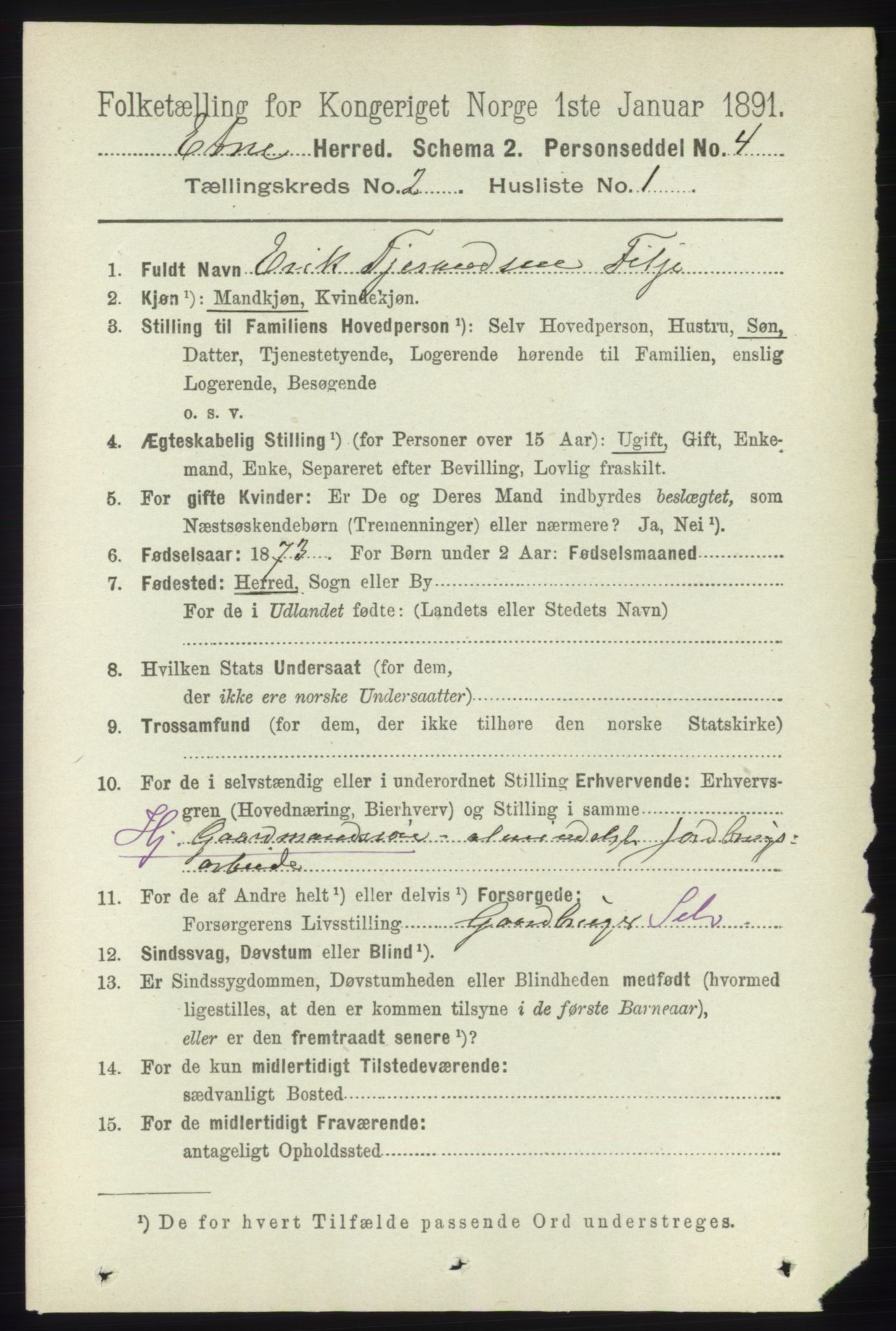 RA, 1891 census for 1211 Etne, 1891, p. 335