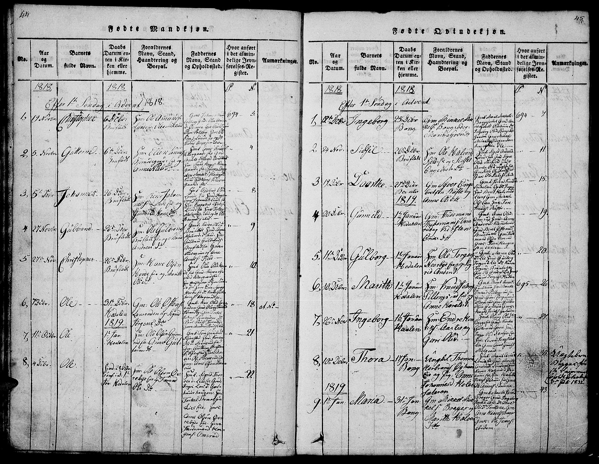 Sør-Aurdal prestekontor, SAH/PREST-128/H/Ha/Hab/L0001: Parish register (copy) no. 1, 1815-1826, p. 44-45