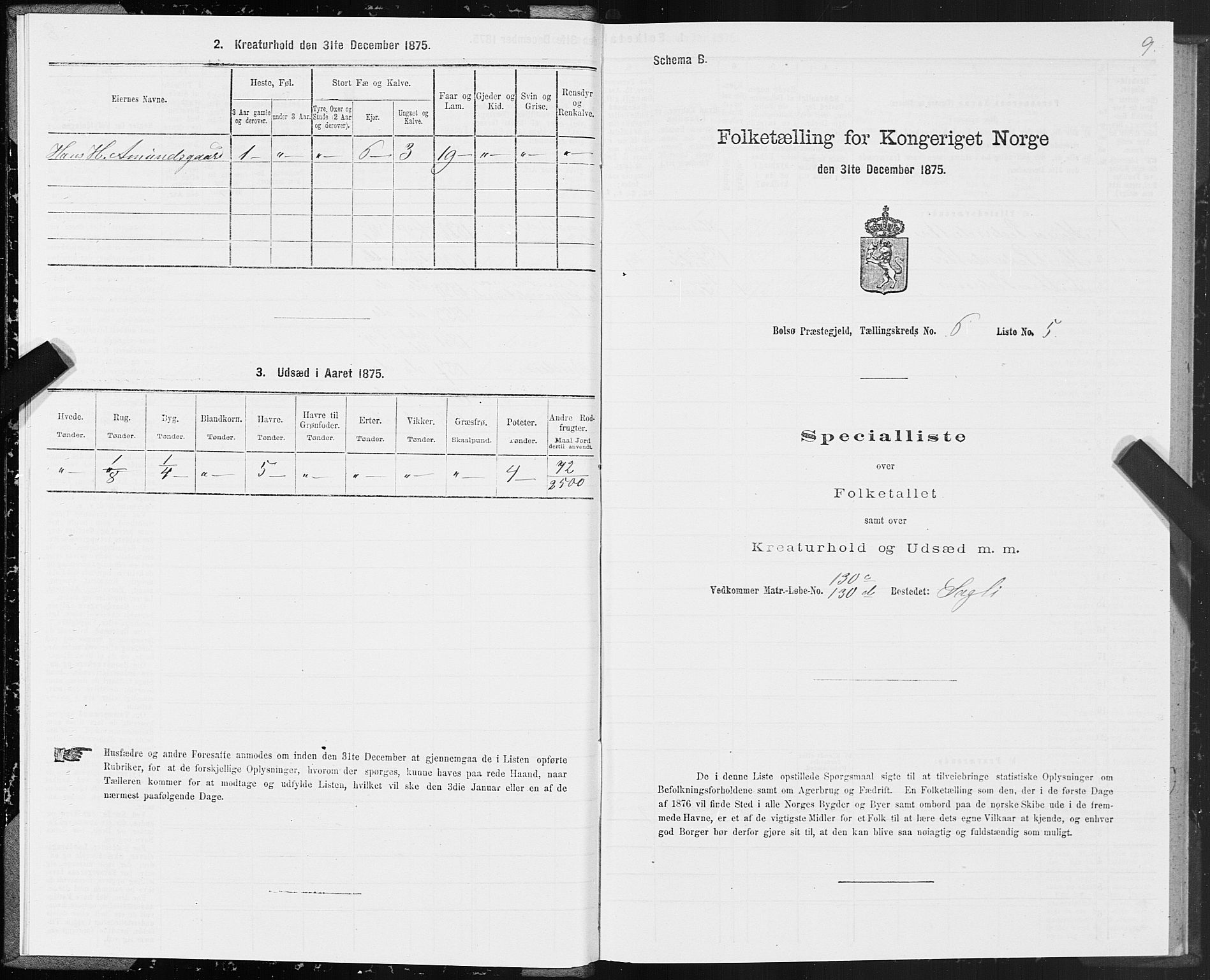 SAT, 1875 census for 1544P Bolsøy, 1875, p. 4009