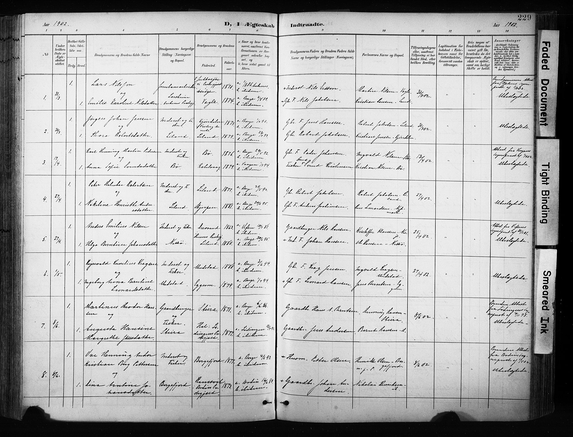 Ministerialprotokoller, klokkerbøker og fødselsregistre - Nordland, AV/SAT-A-1459/880/L1134: Parish register (official) no. 880A08, 1899-1908, p. 229