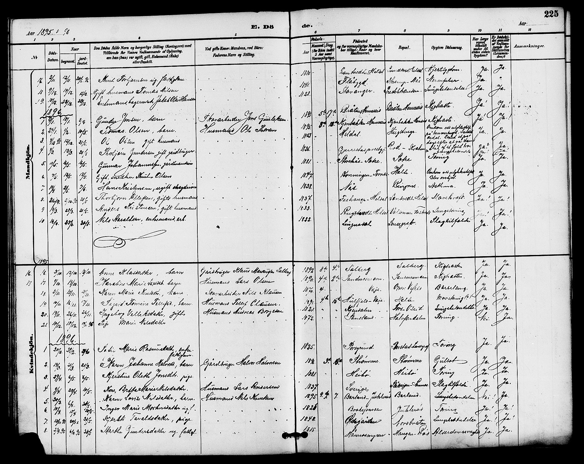 Drangedal kirkebøker, SAKO/A-258/G/Ga/L0003: Parish register (copy) no. I 3, 1887-1906, p. 225
