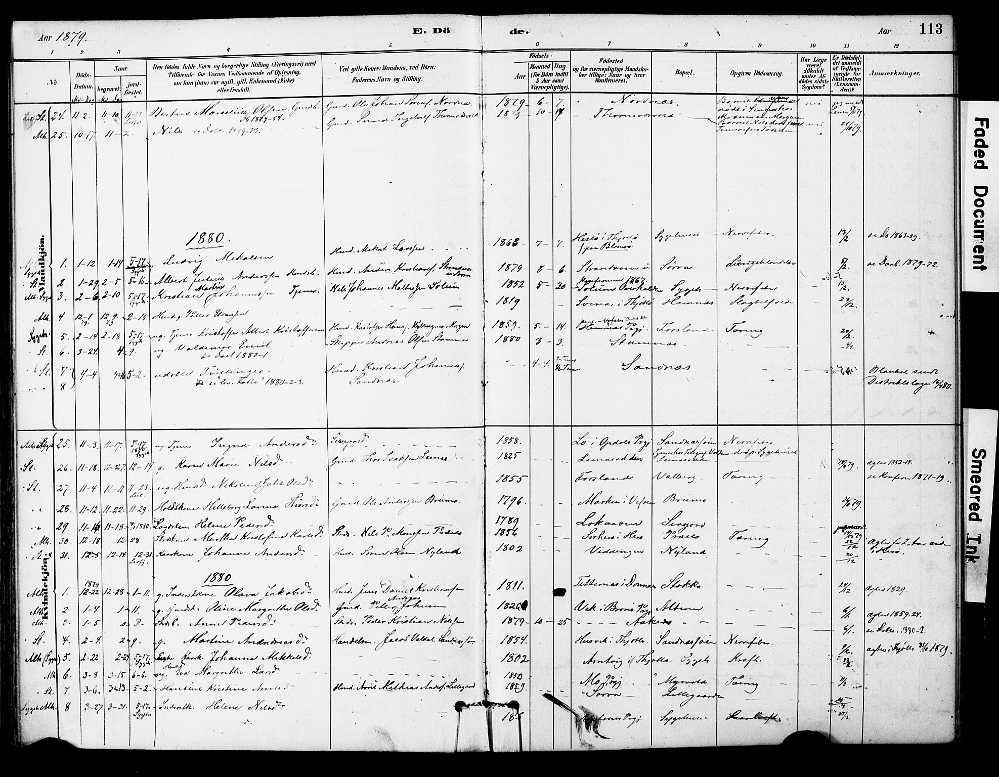 Ministerialprotokoller, klokkerbøker og fødselsregistre - Nordland, AV/SAT-A-1459/830/L0450: Parish register (official) no. 830A14, 1879-1896, p. 113