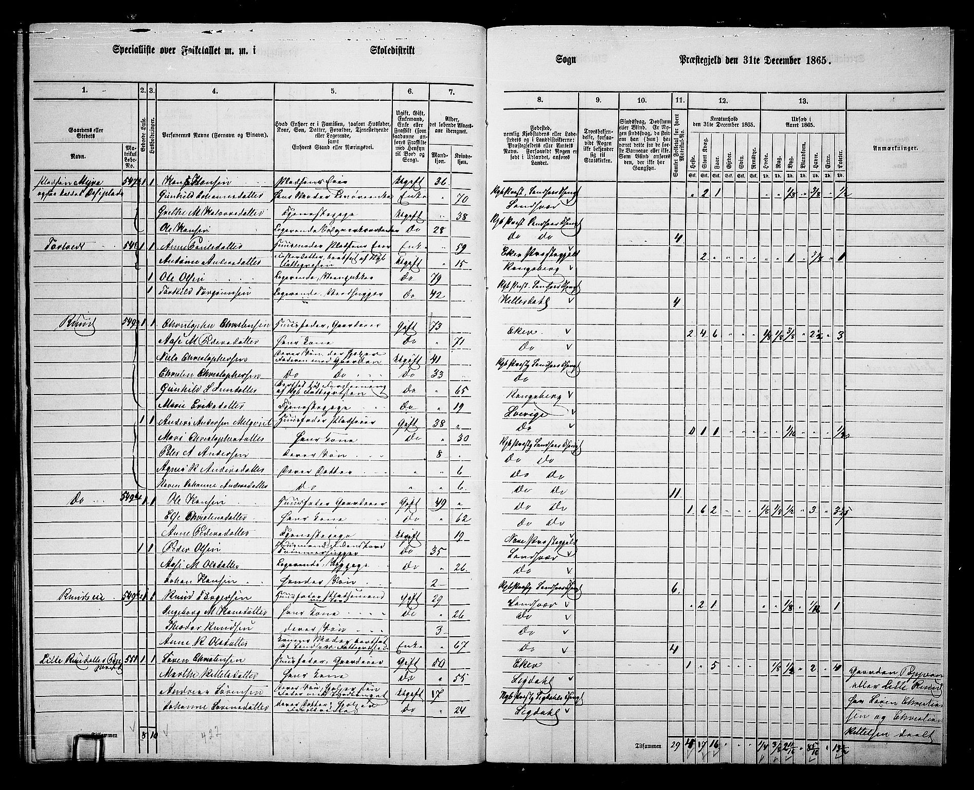 RA, 1865 census for Kongsberg/Kongsberg, 1865, p. 21