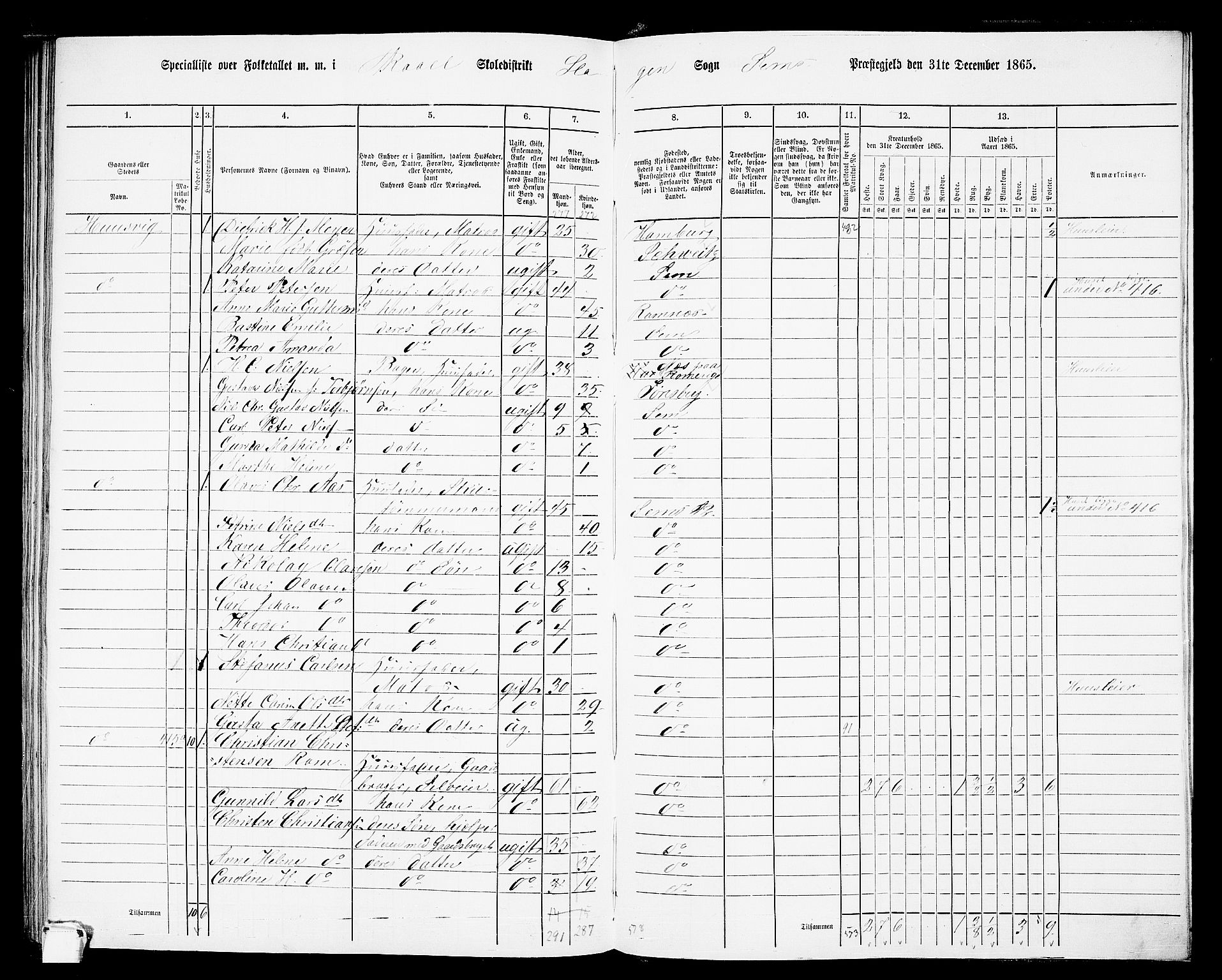 RA, 1865 census for Sem, 1865, p. 198