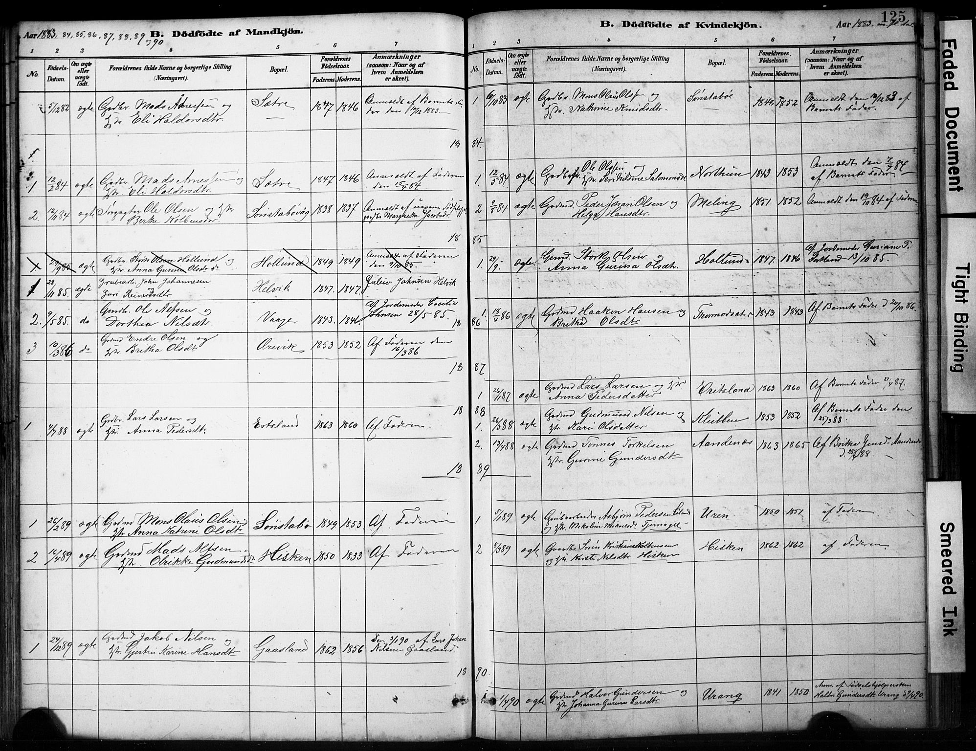 Finnås sokneprestembete, SAB/A-99925/H/Ha/Hab/Habb/L0003: Parish register (copy) no. B 3, 1882-1897, p. 125