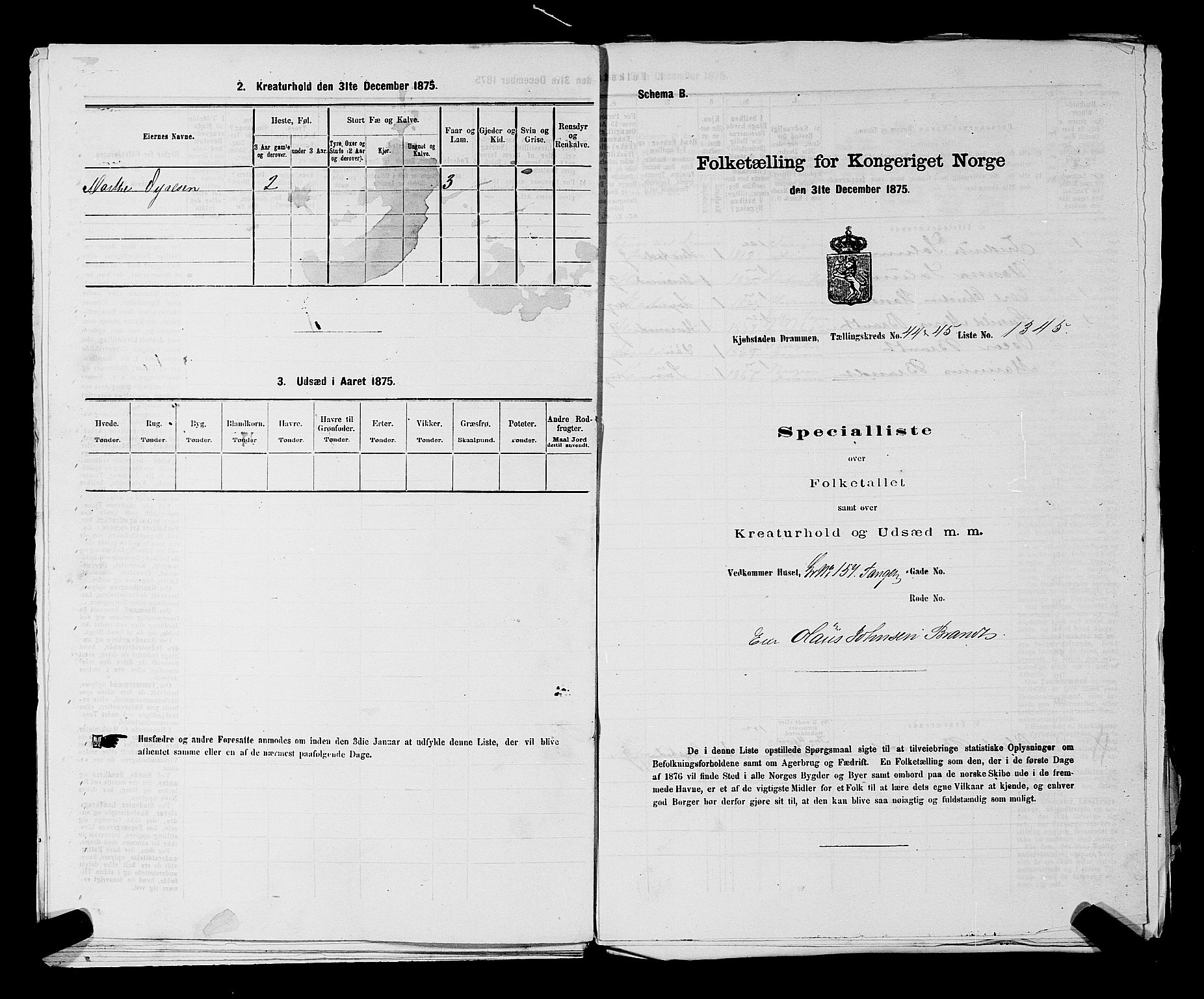 SAKO, 1875 census for 0602 Drammen, 1875, p. 3648