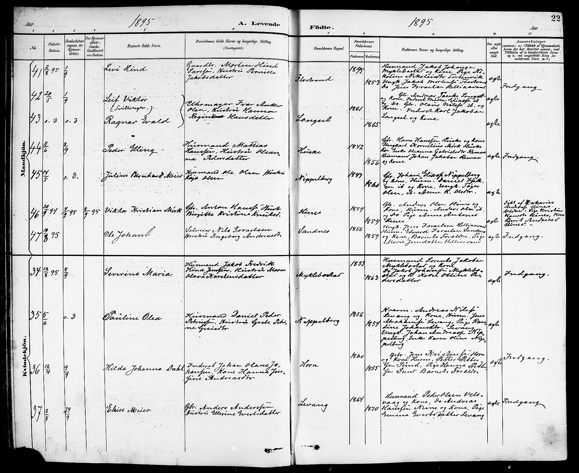 Ministerialprotokoller, klokkerbøker og fødselsregistre - Nordland, AV/SAT-A-1459/838/L0559: Parish register (copy) no. 838C06, 1893-1910, p. 22