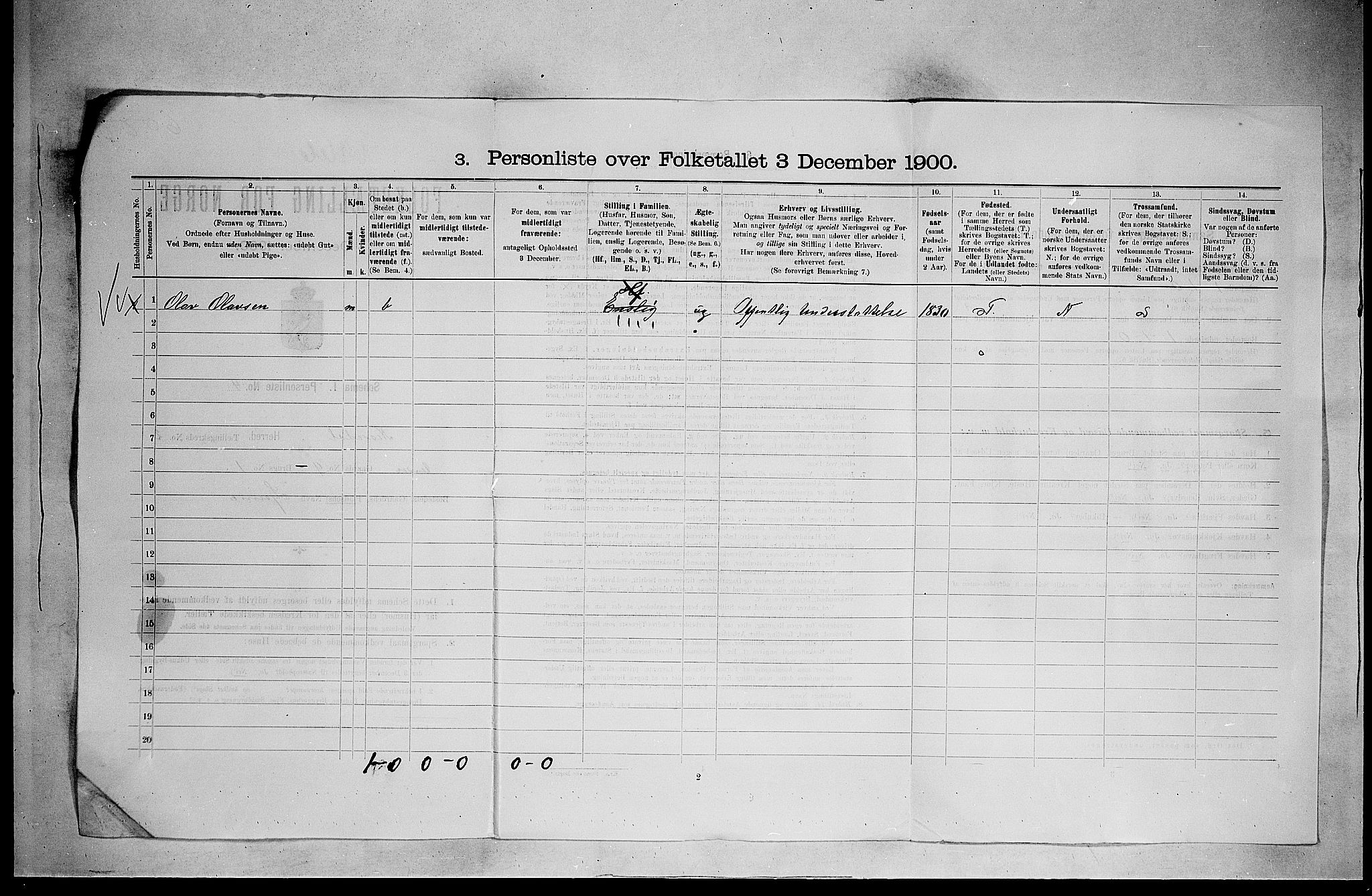 SAKO, 1900 census for Nissedal, 1900, p. 29