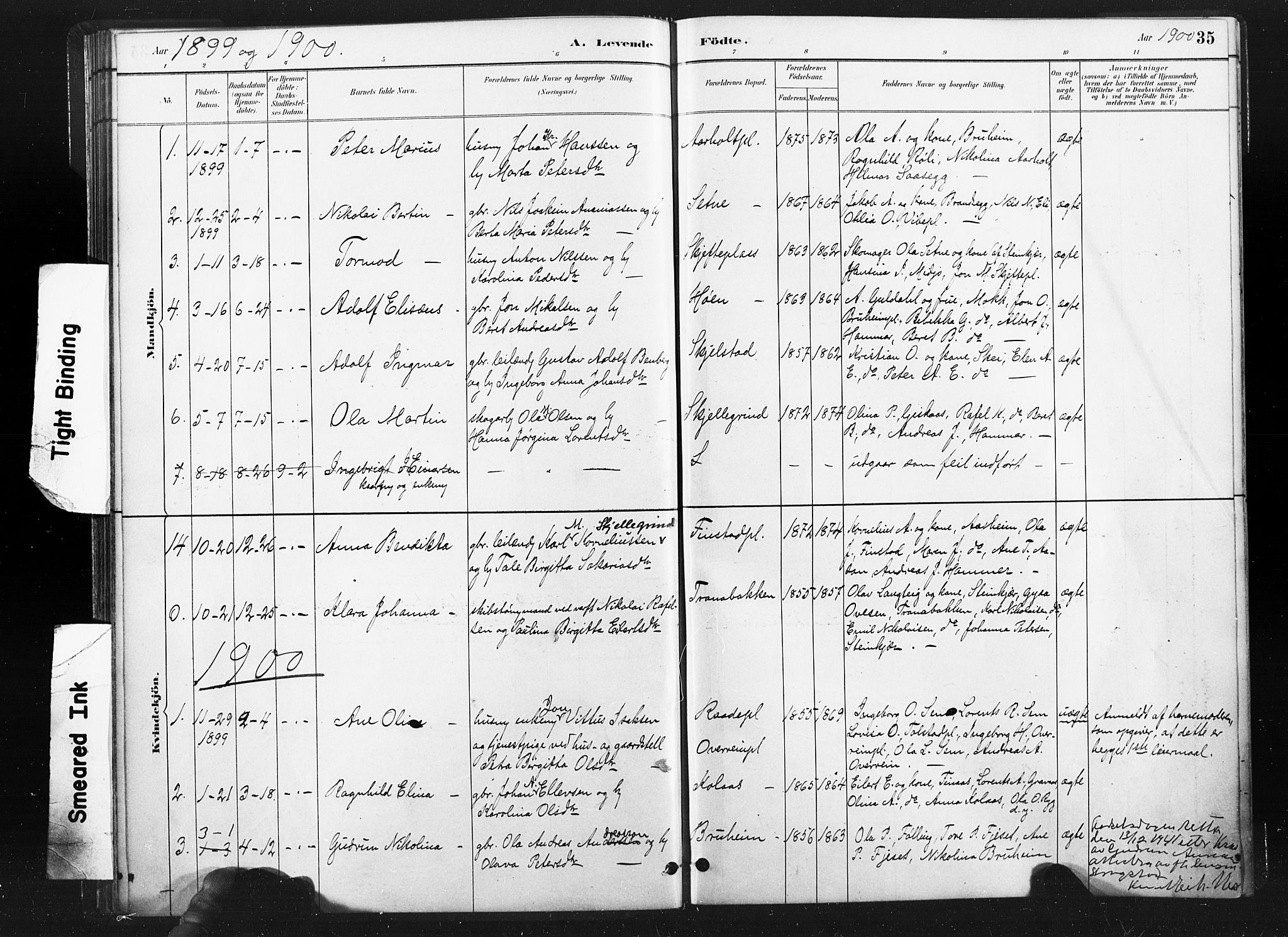 Ministerialprotokoller, klokkerbøker og fødselsregistre - Nord-Trøndelag, SAT/A-1458/736/L0361: Parish register (official) no. 736A01, 1884-1906, p. 35