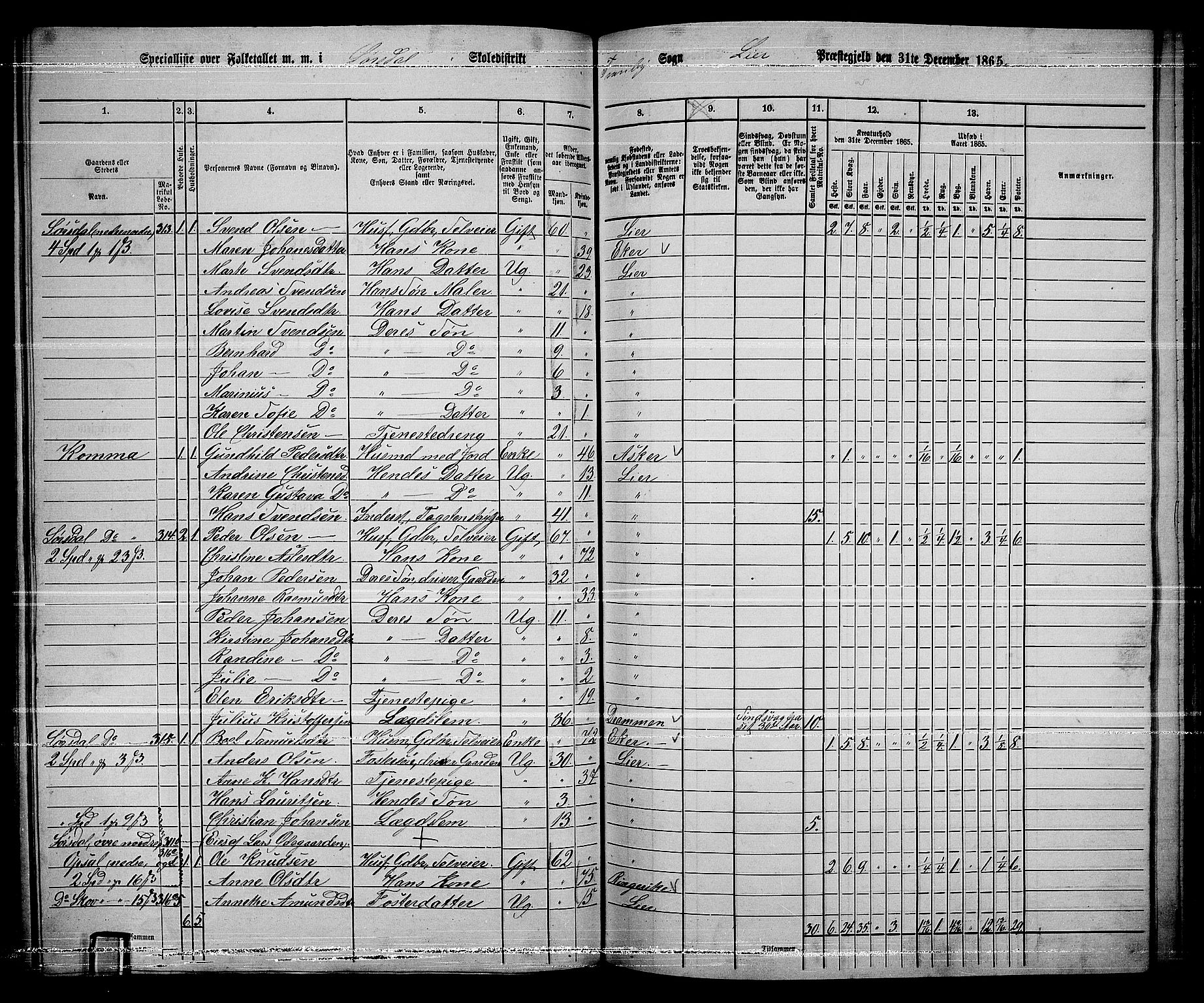 RA, 1865 census for Lier, 1865, p. 171