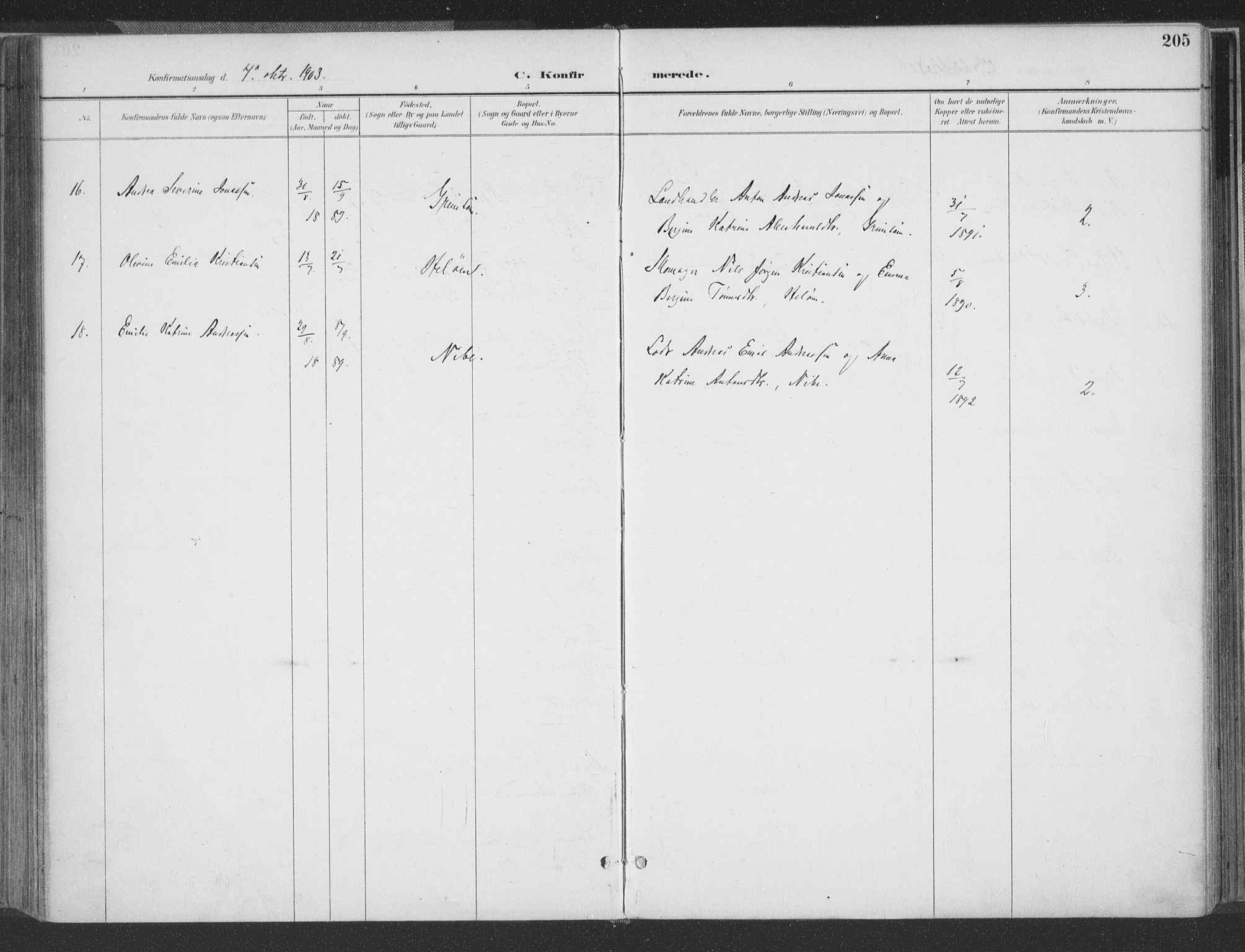 Høvåg sokneprestkontor, AV/SAK-1111-0025/F/Fa/L0006: Parish register (official) no. A 6, 1894-1923, p. 205