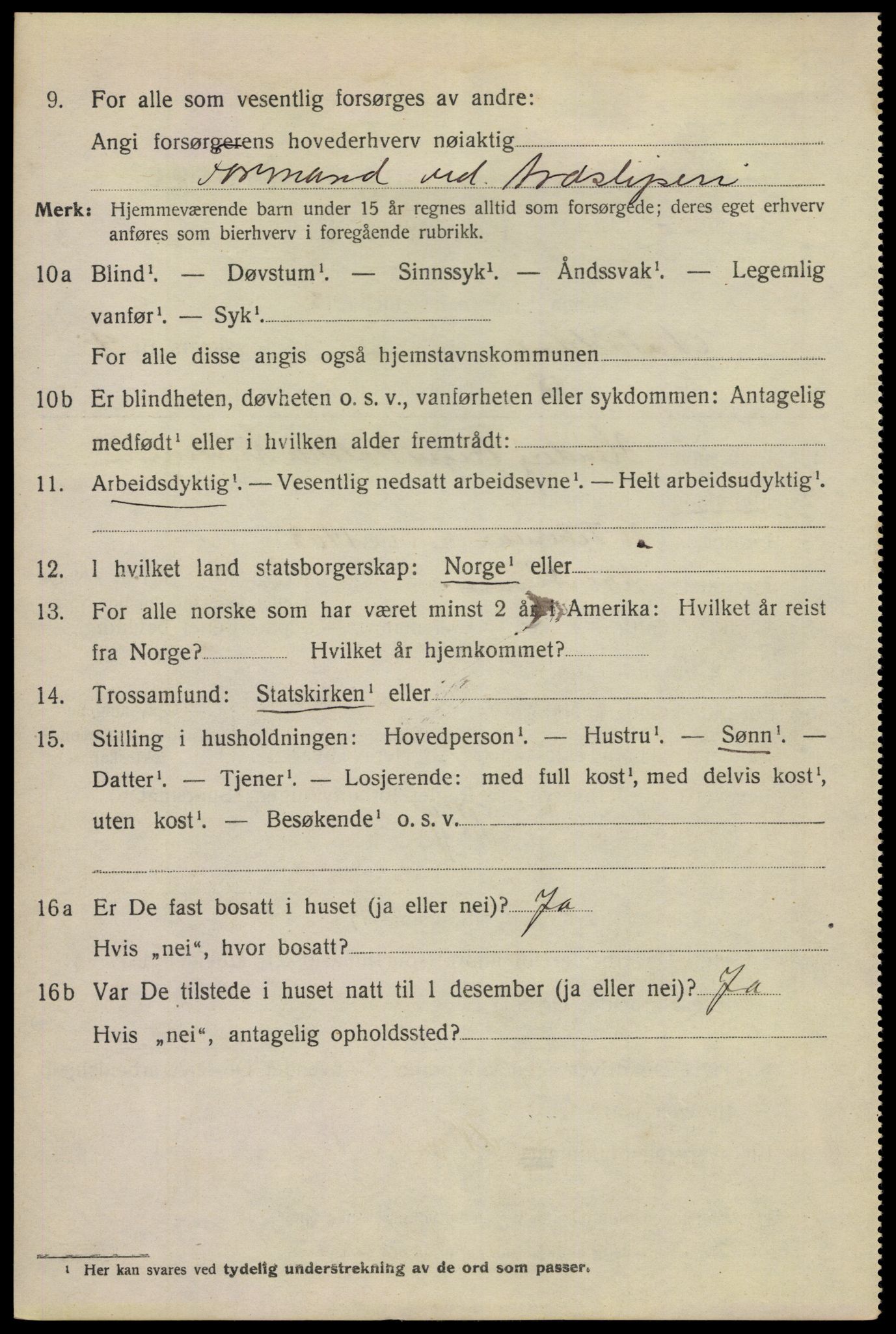 SAKO, 1920 census for Notodden, 1920, p. 10239