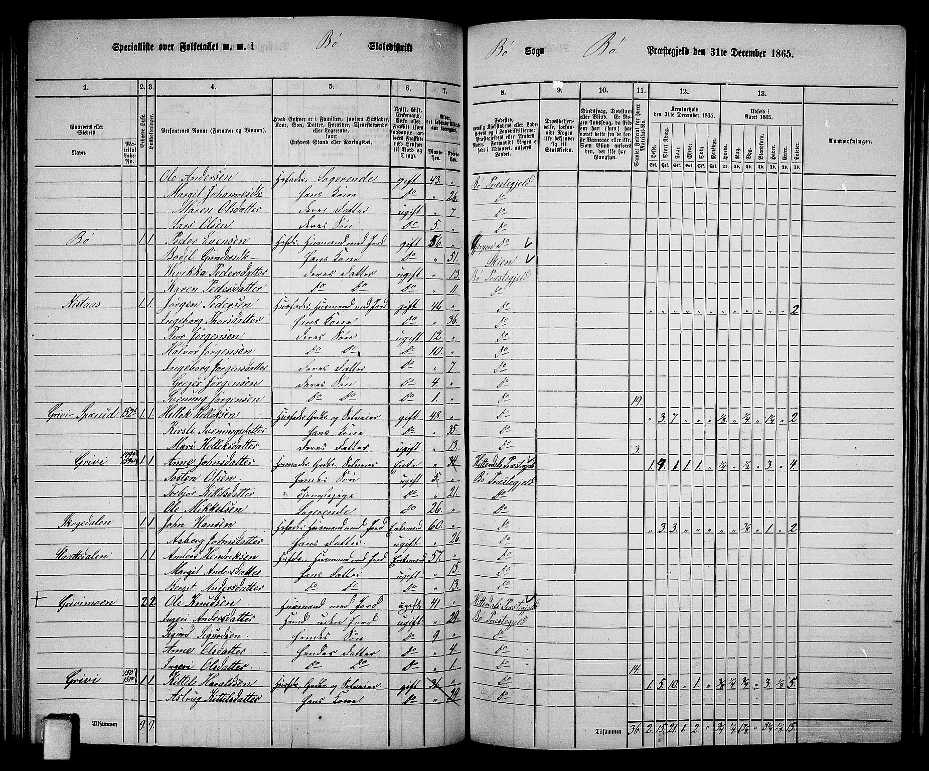 RA, 1865 census for Bø, 1865, p. 99