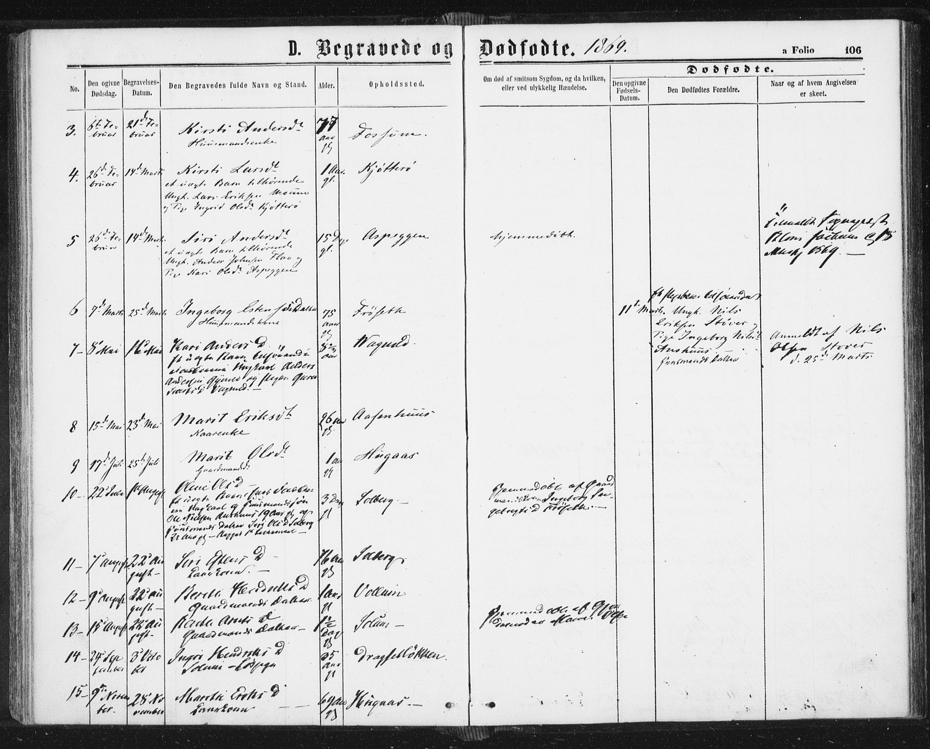 Ministerialprotokoller, klokkerbøker og fødselsregistre - Sør-Trøndelag, AV/SAT-A-1456/689/L1039: Parish register (official) no. 689A04, 1865-1878, p. 106