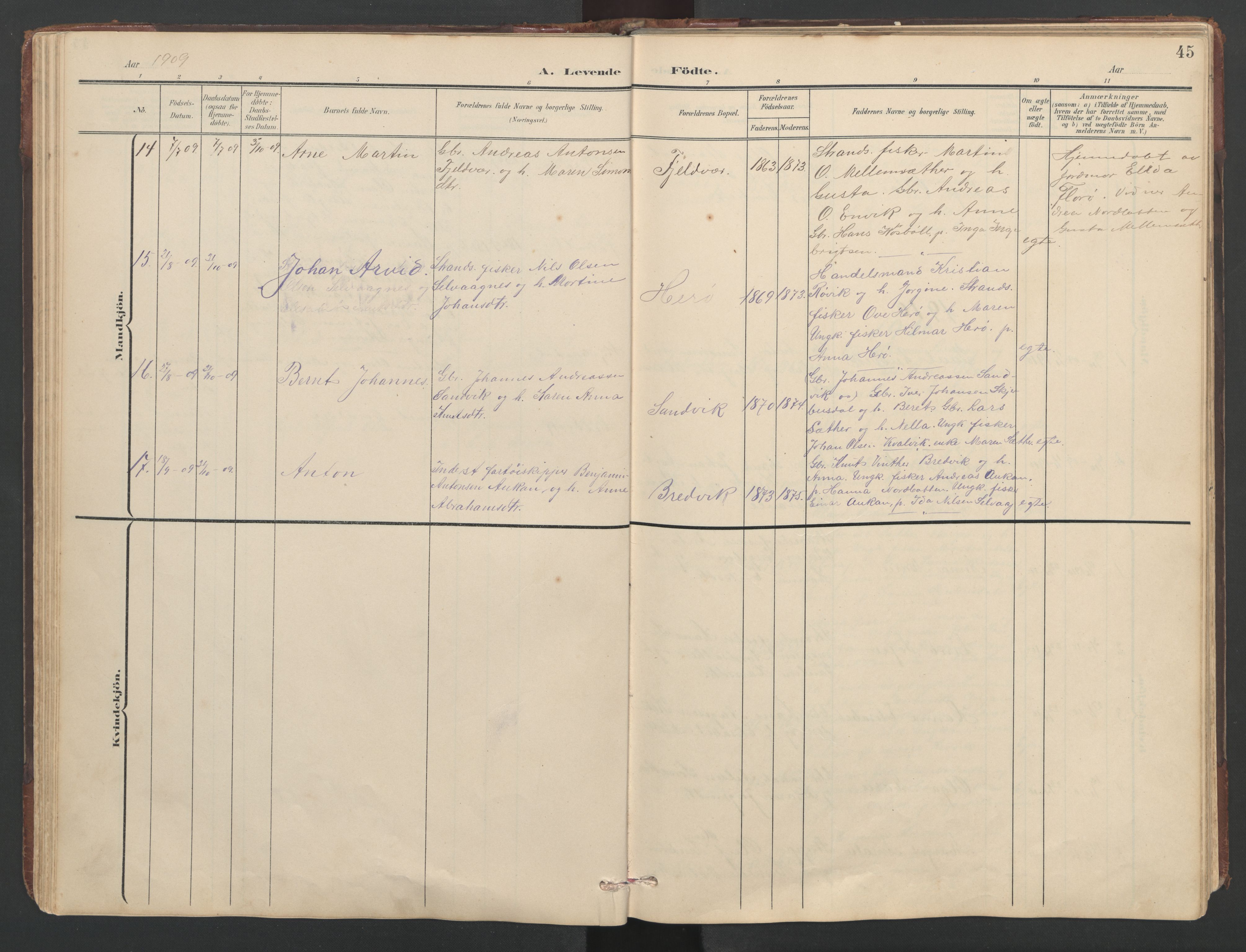 Ministerialprotokoller, klokkerbøker og fødselsregistre - Sør-Trøndelag, SAT/A-1456/638/L0571: Parish register (copy) no. 638C03, 1901-1930, p. 45