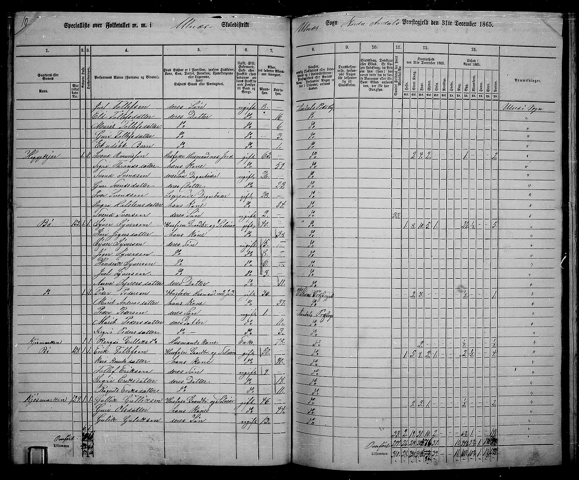 RA, 1865 census for Nord-Aurdal, 1865, p. 119