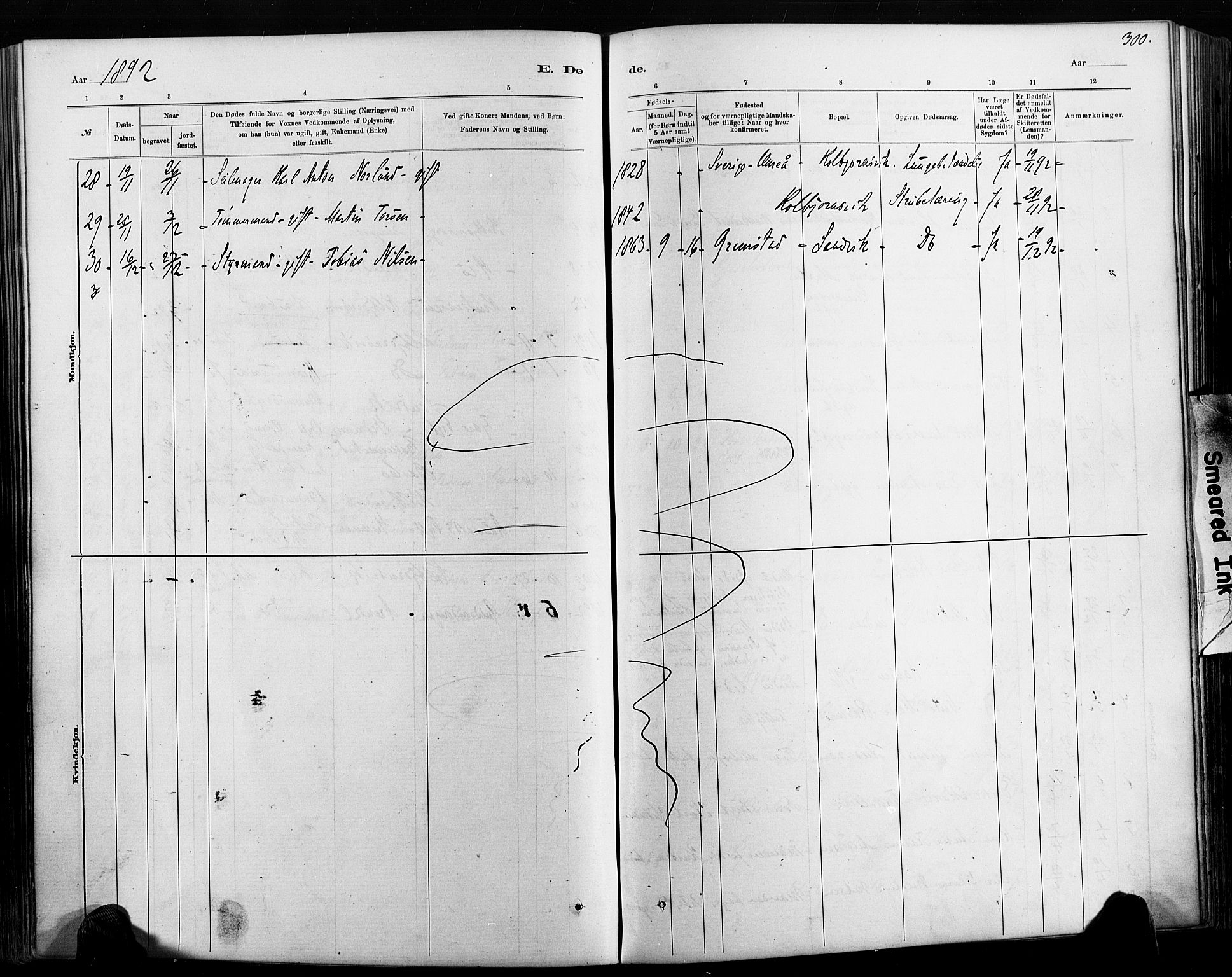 Hisøy sokneprestkontor, AV/SAK-1111-0020/F/Fa/L0003: Parish register (official) no. A 3, 1881-1894, p. 300