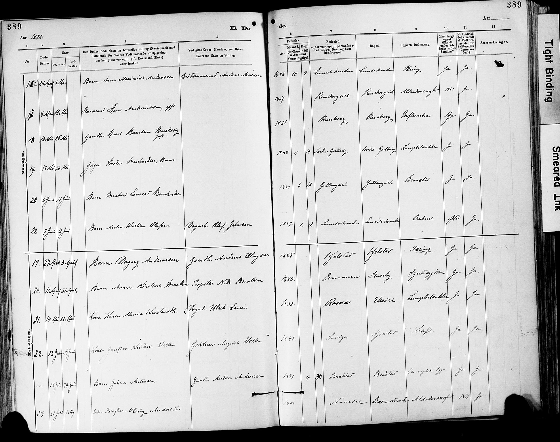 Lier kirkebøker, AV/SAKO-A-230/F/Fa/L0015: Parish register (official) no. I 15, 1883-1894, p. 389